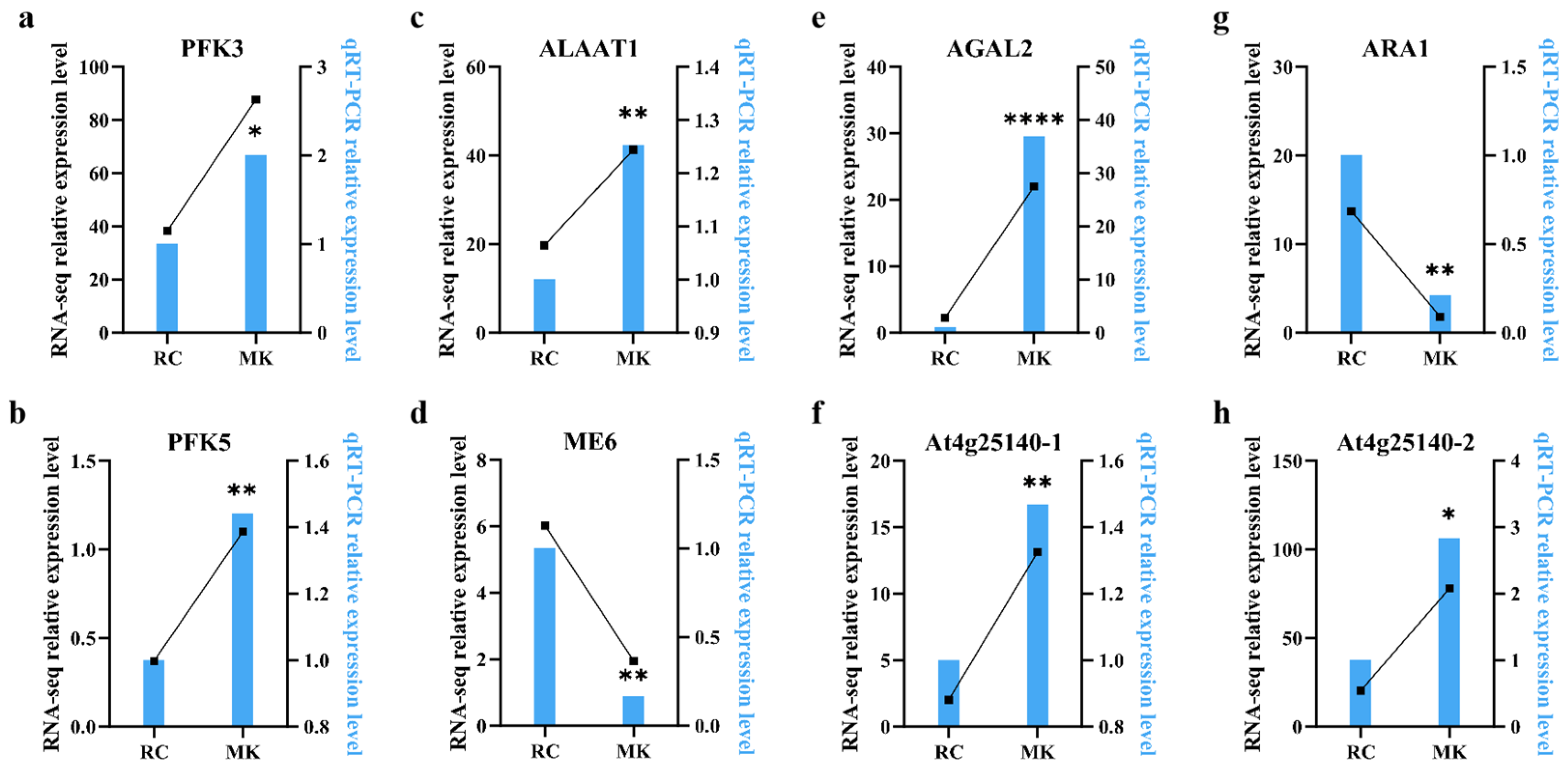 Plants 13 03242 g005