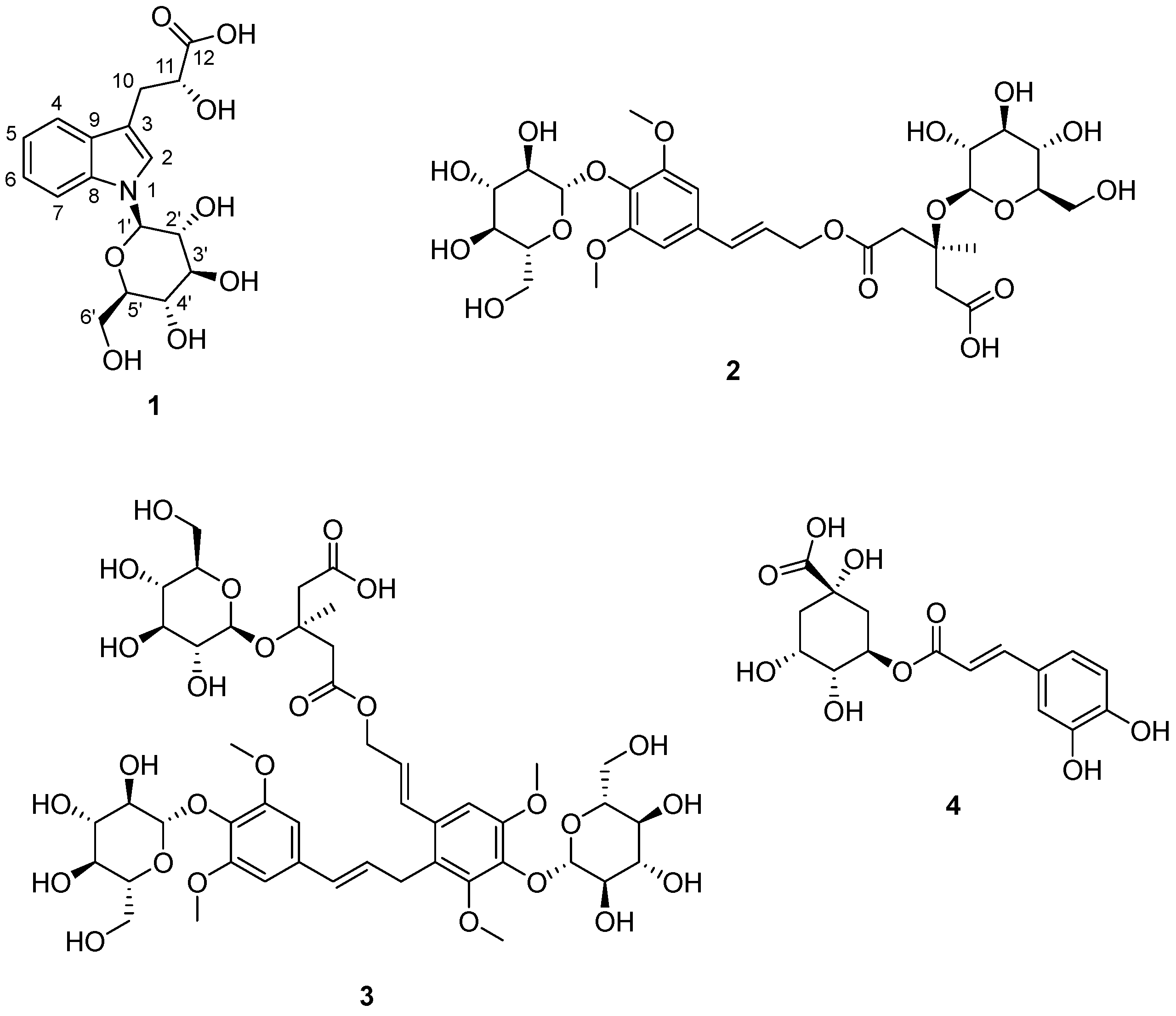 Plants 13 03243 g001