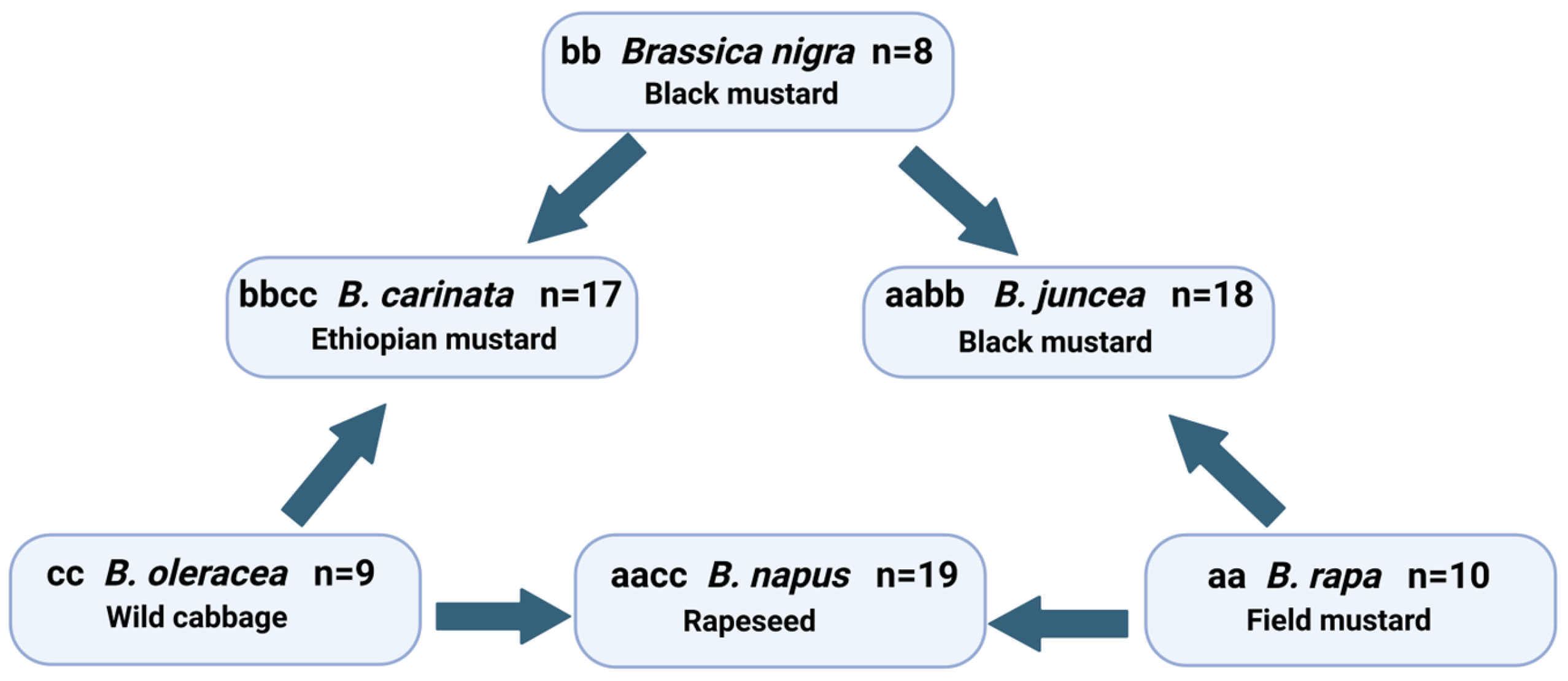 Plants 13 03247 g001