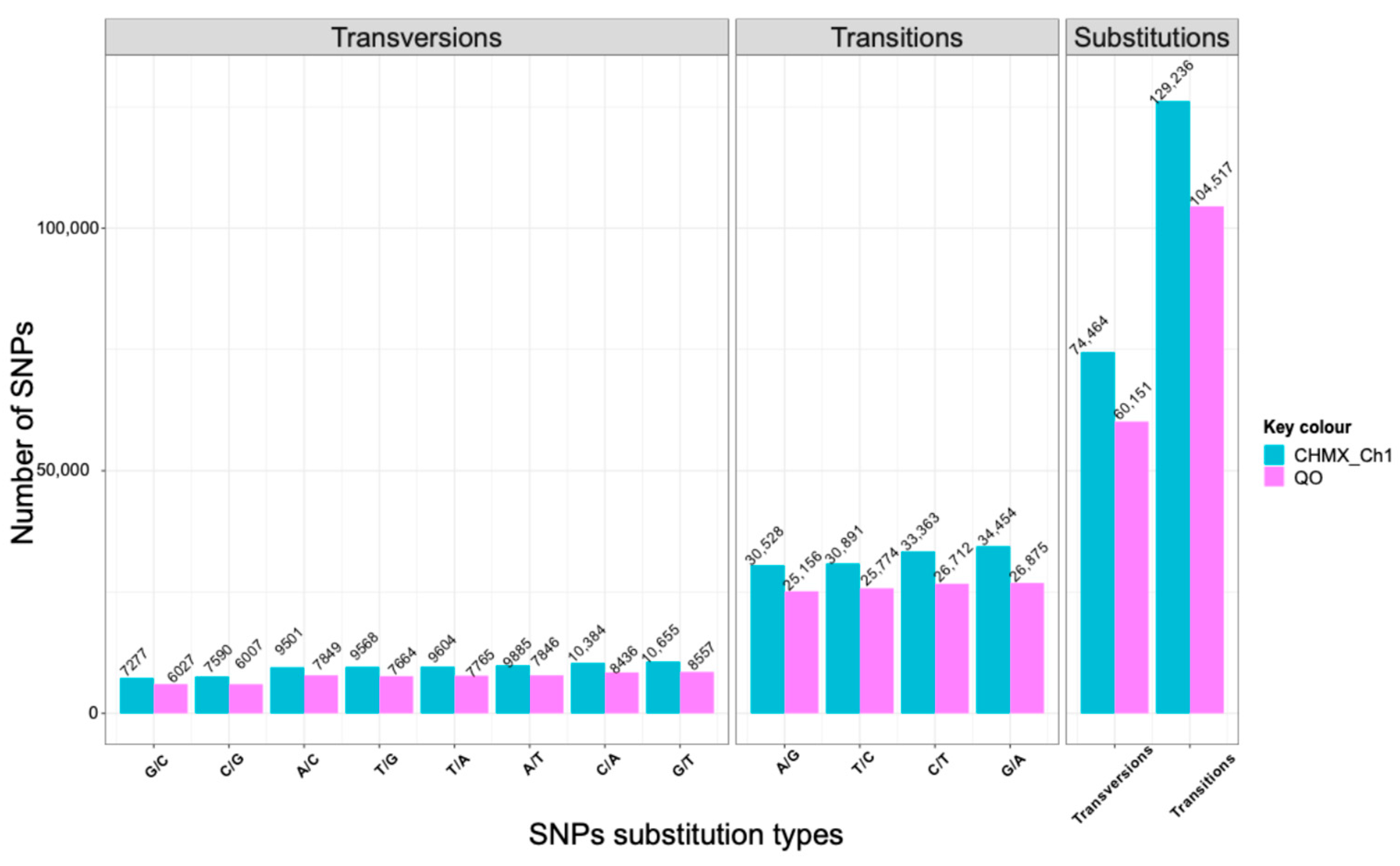 Plants 13 03248 g002