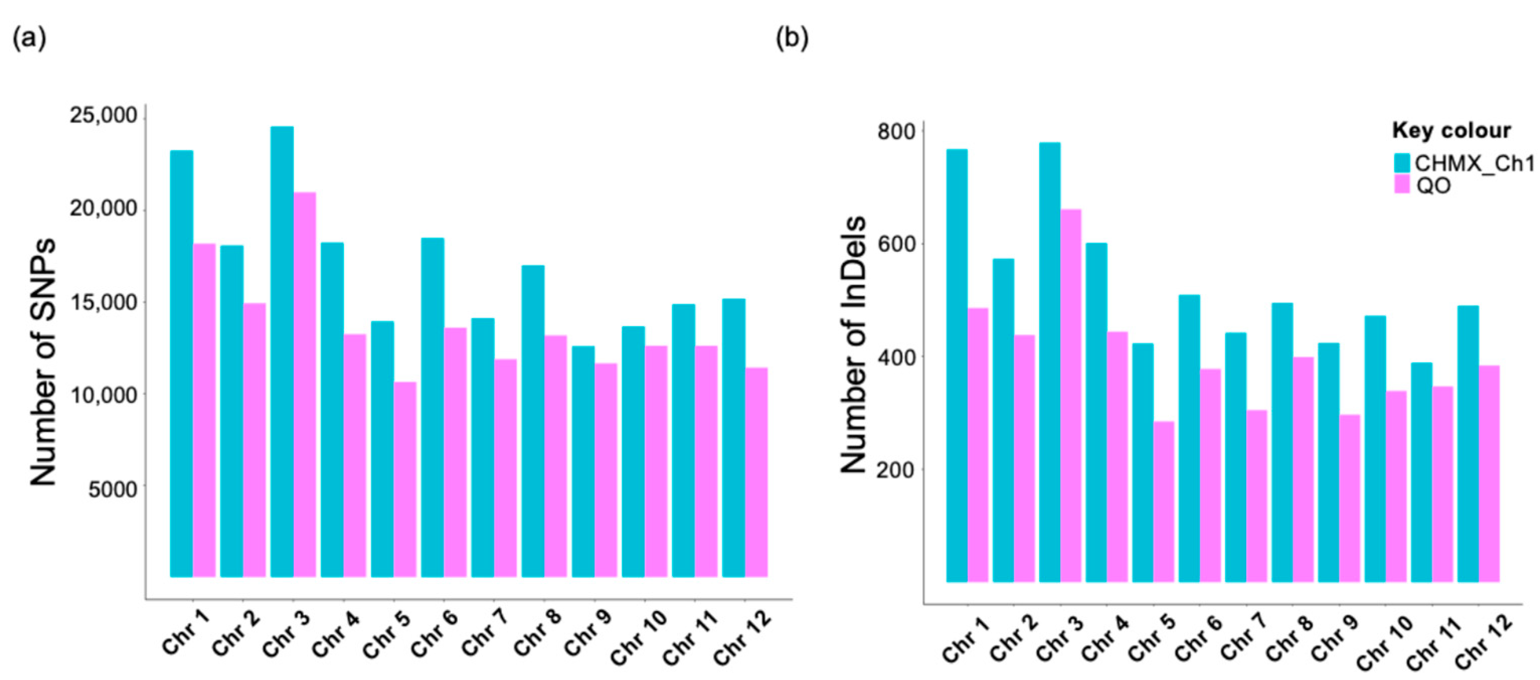 Plants 13 03248 g004