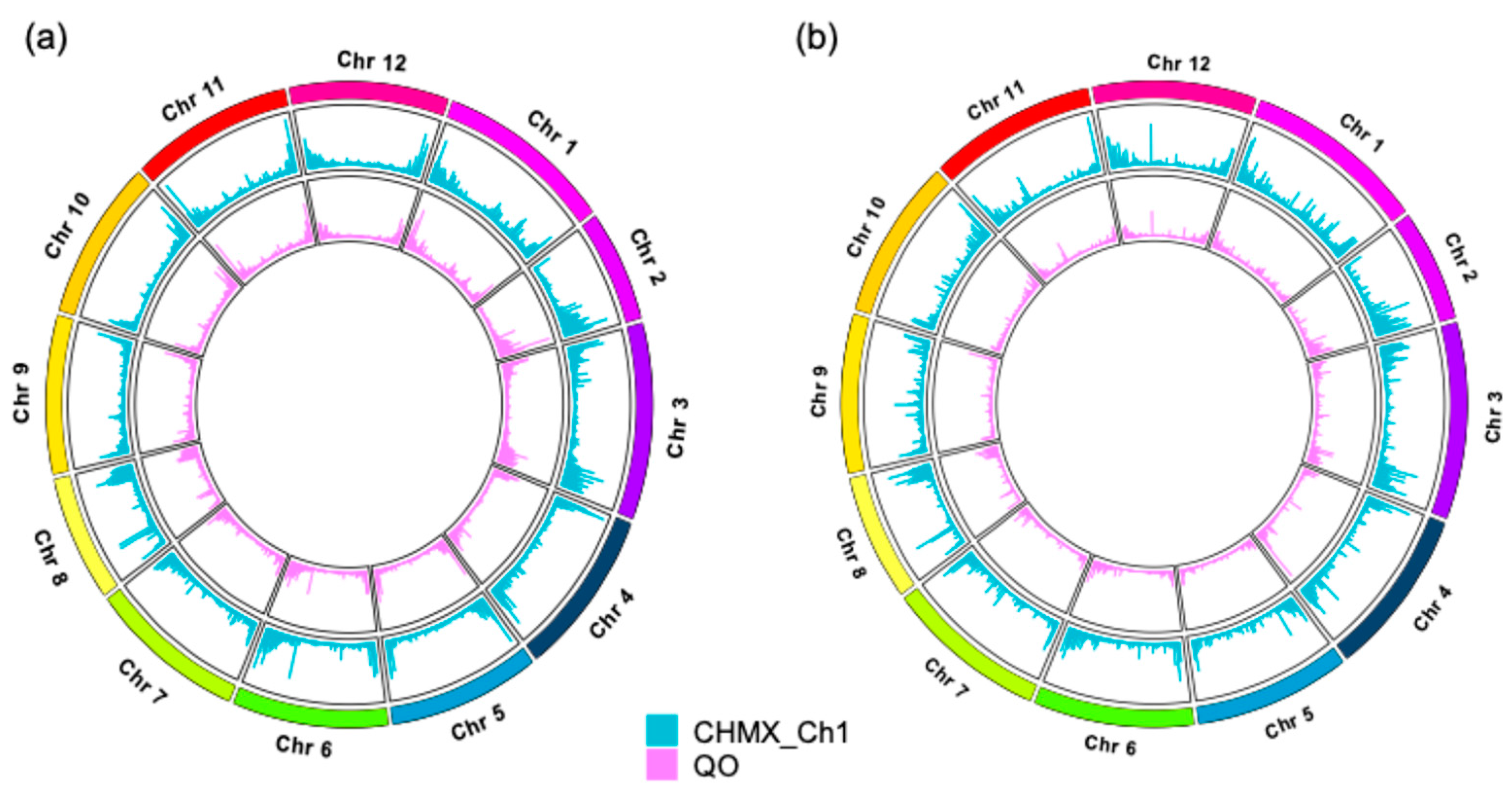 Plants 13 03248 g005