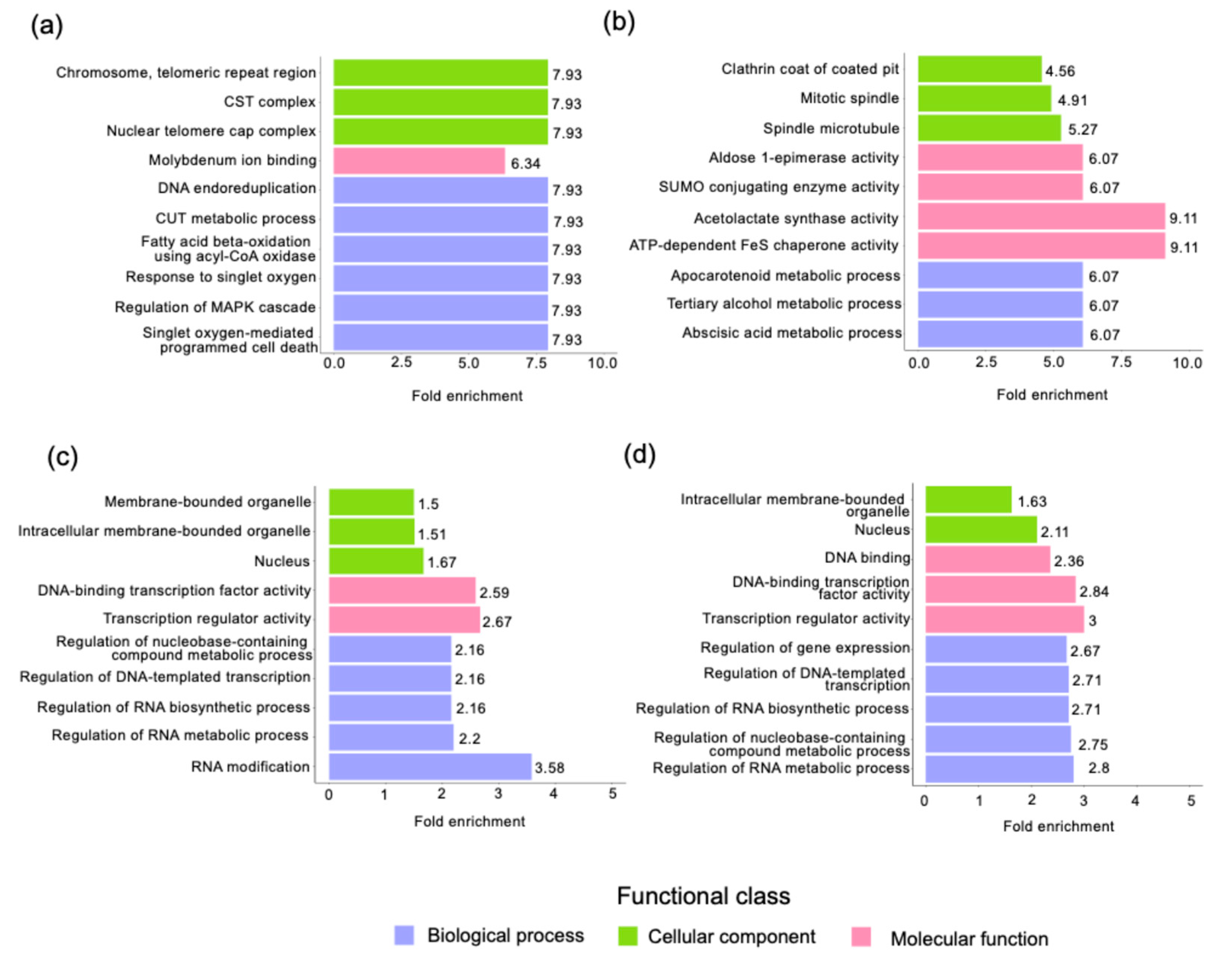 Plants 13 03248 g007