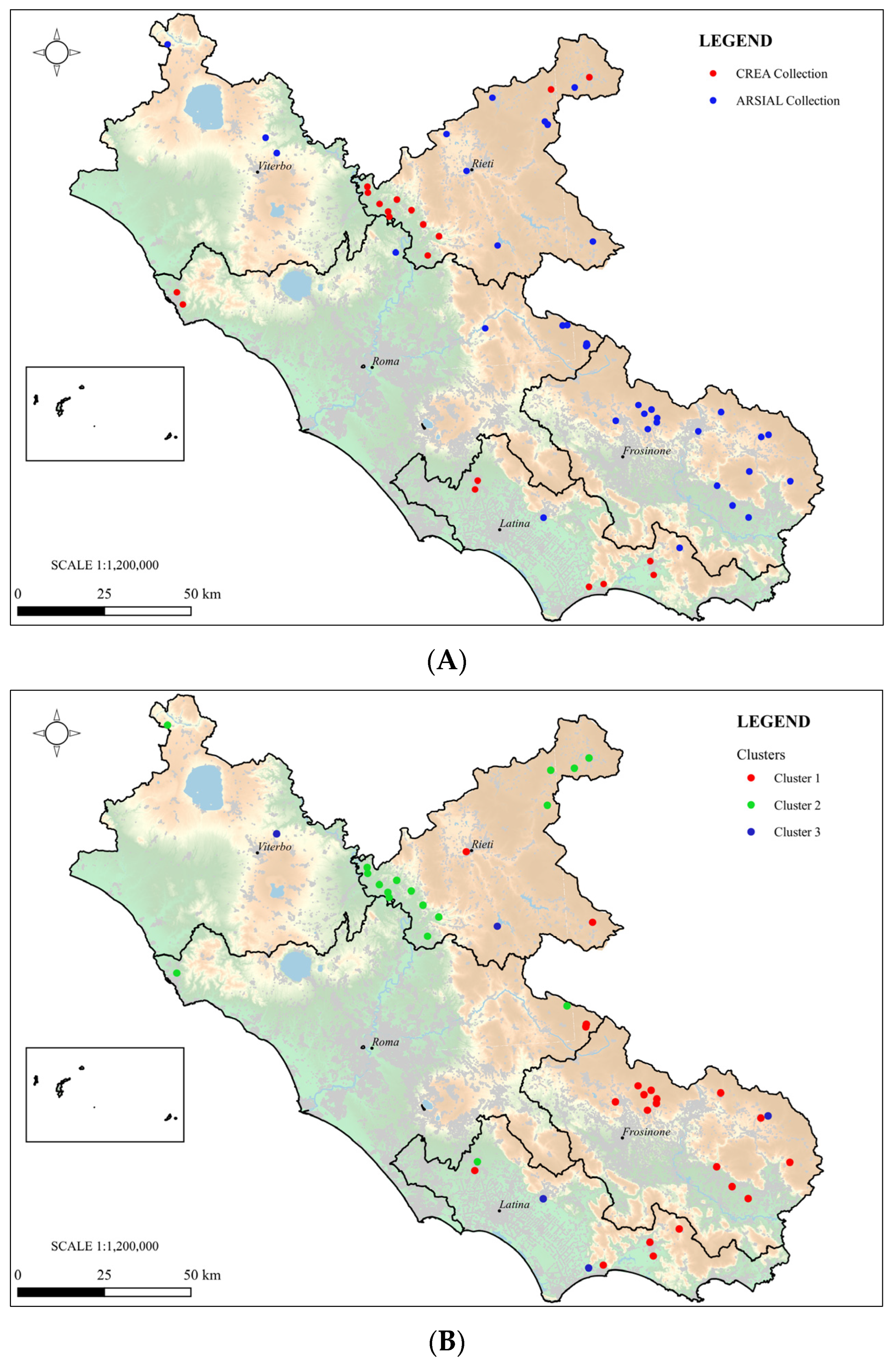 Plants 13 03249 g005