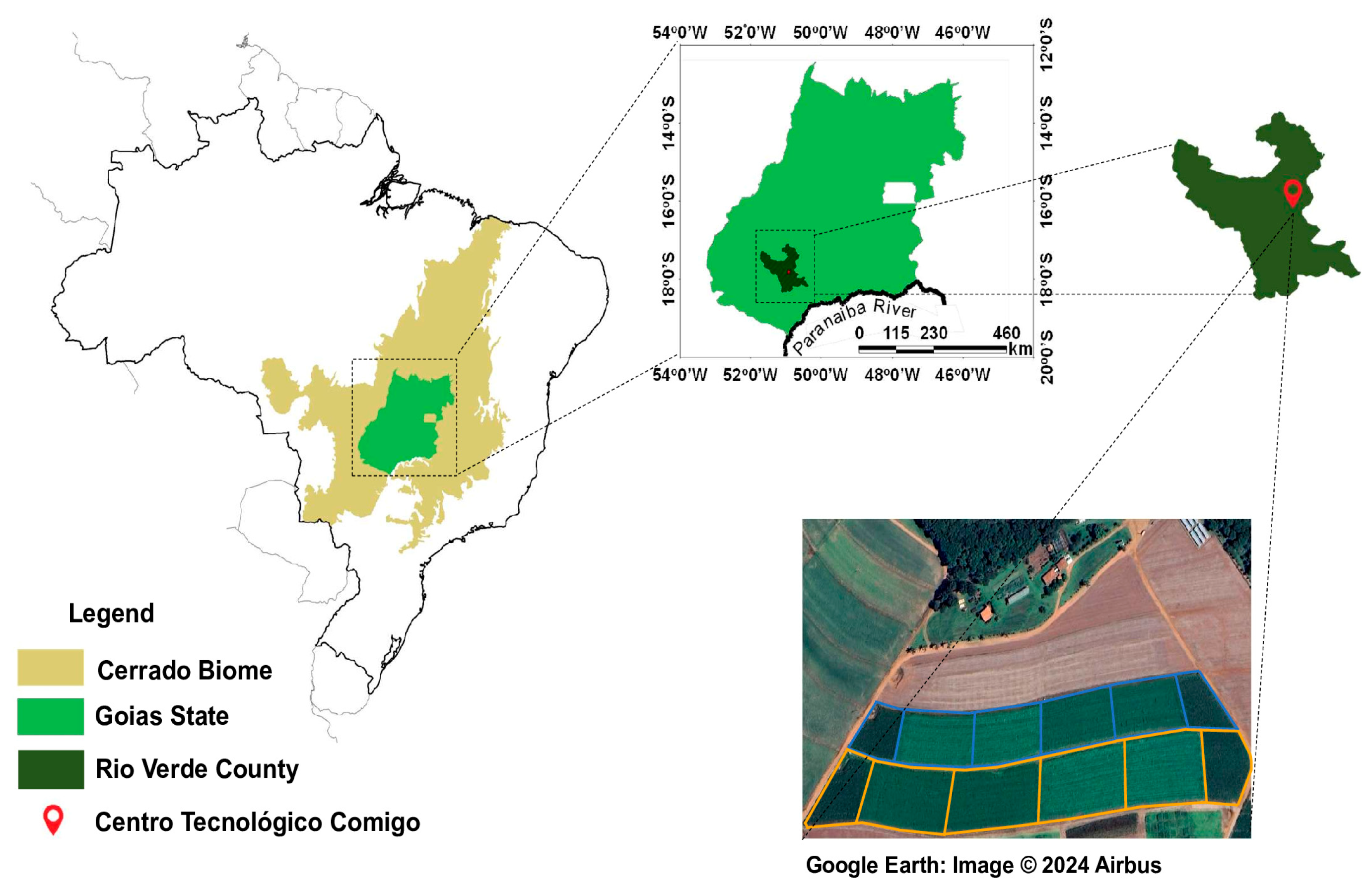 Plants 13 03250 g008