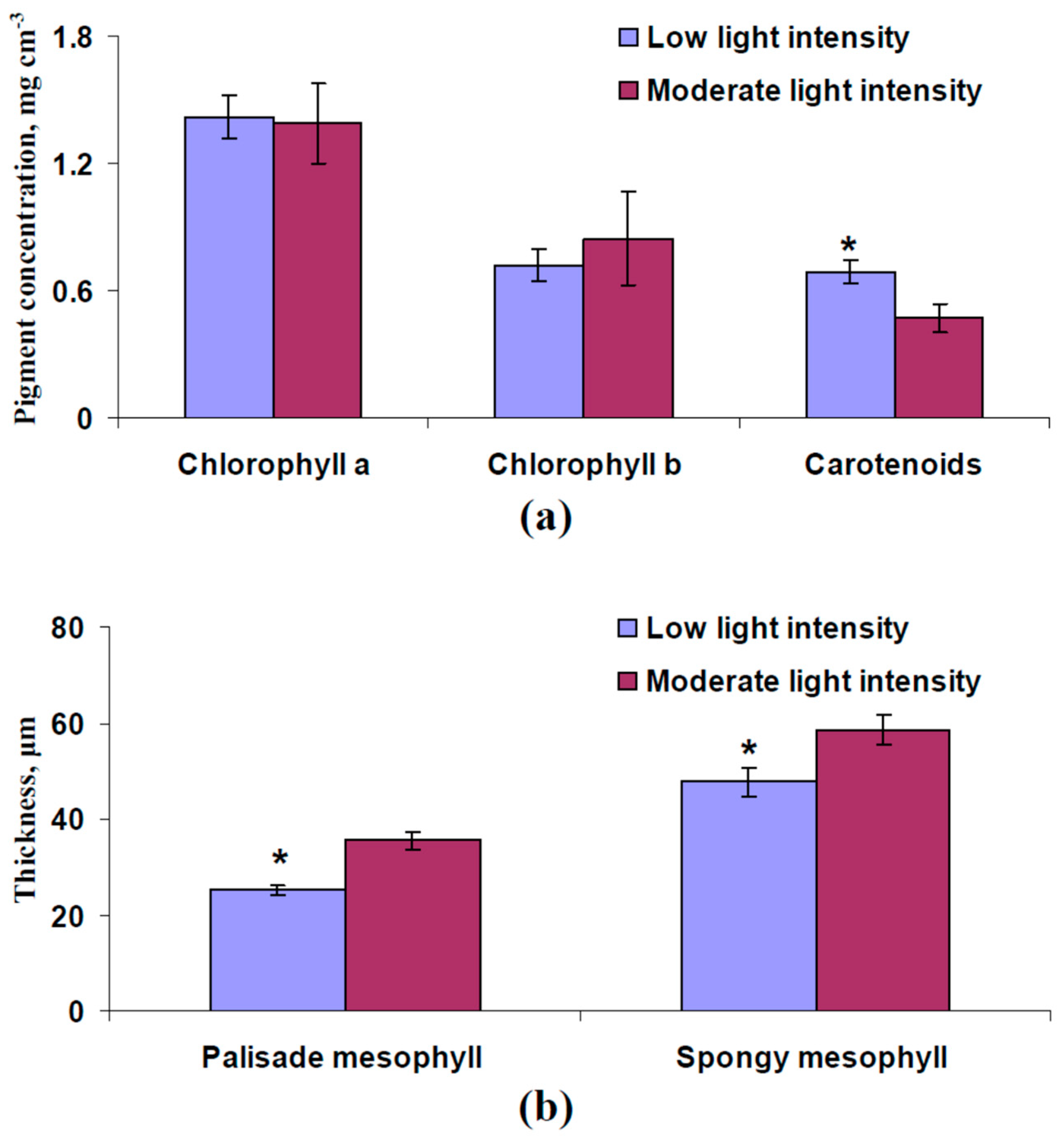 Plants 13 03258 g009