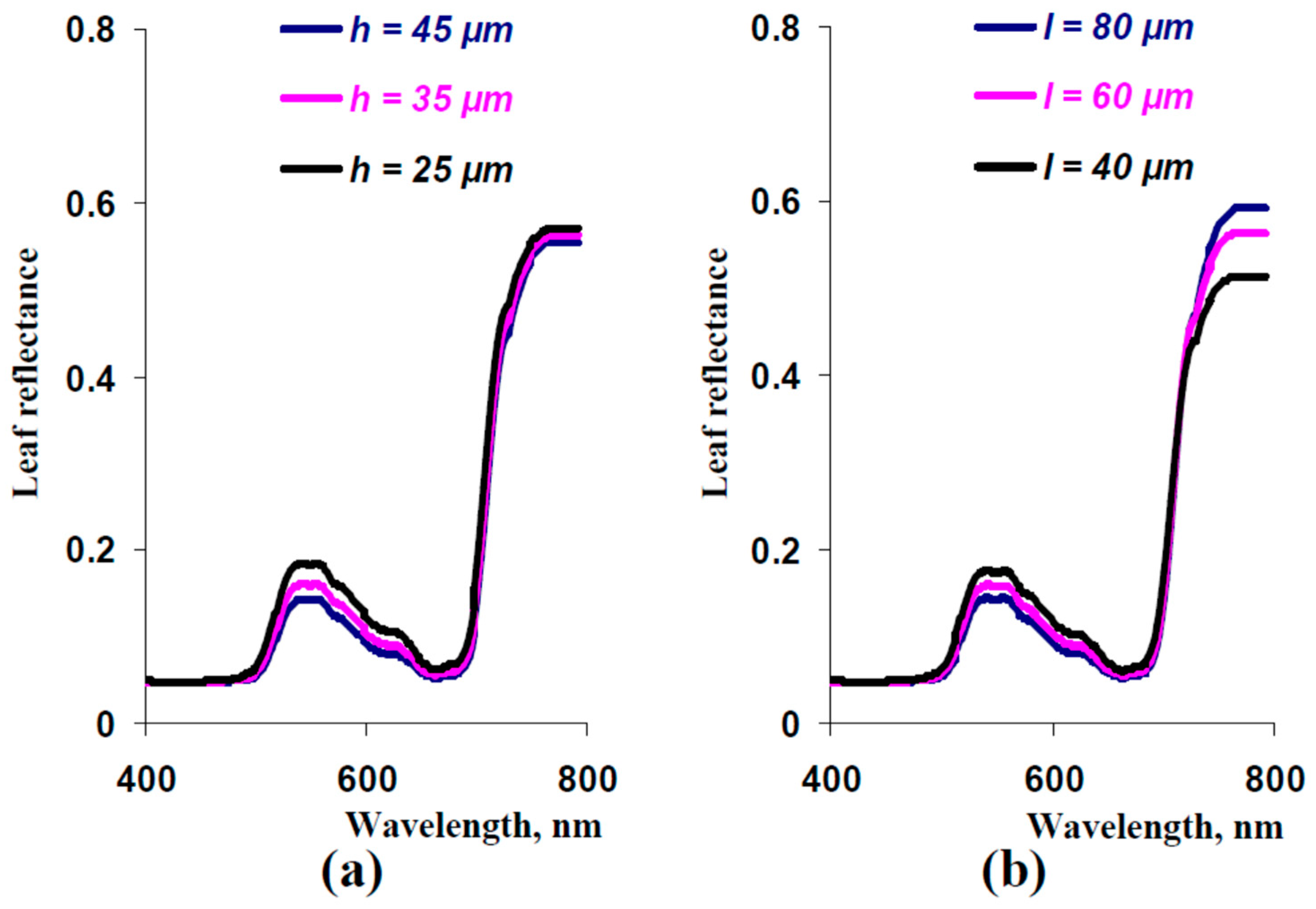 Plants 13 03258 g011