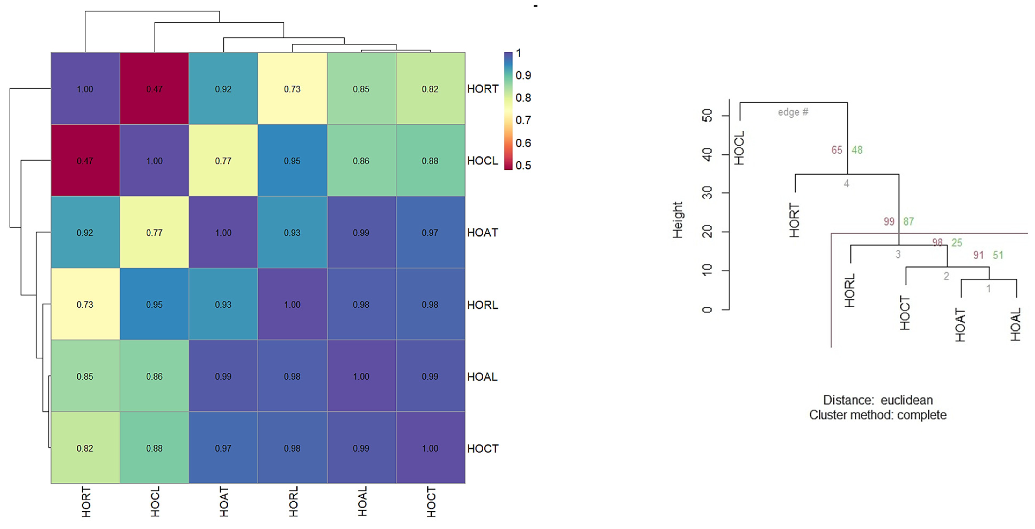 Plants 13 03259 g002