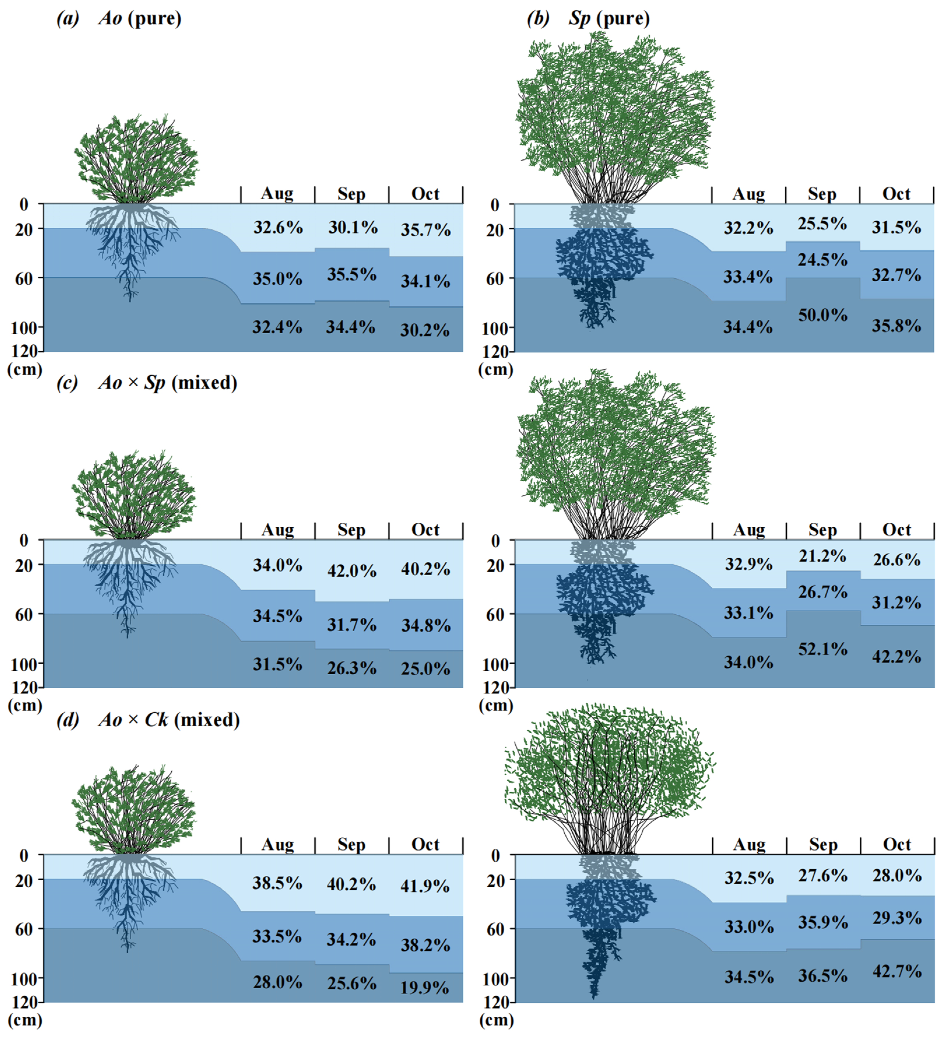 Plants 13 03261 g005