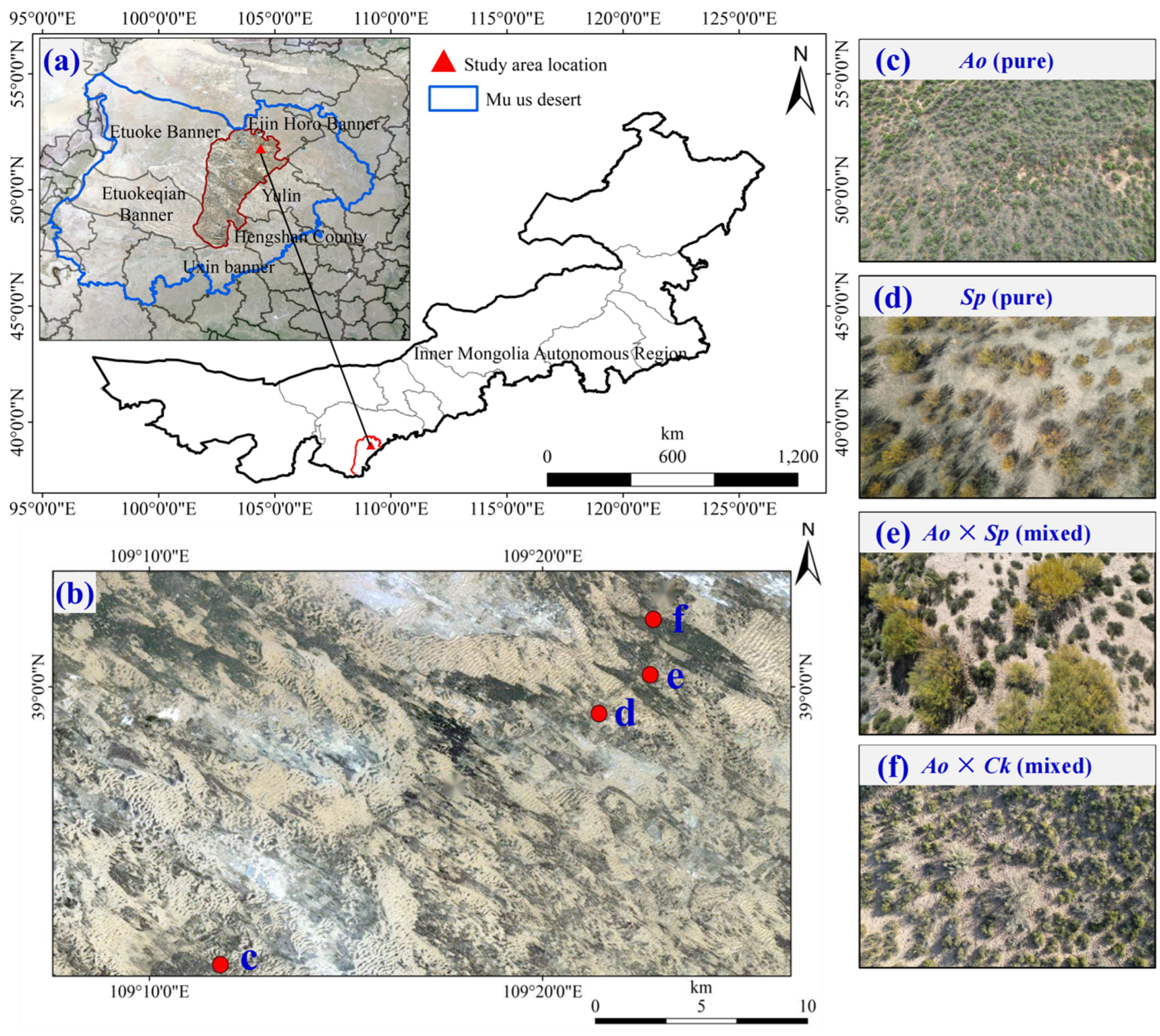 Plants 13 03261 g006