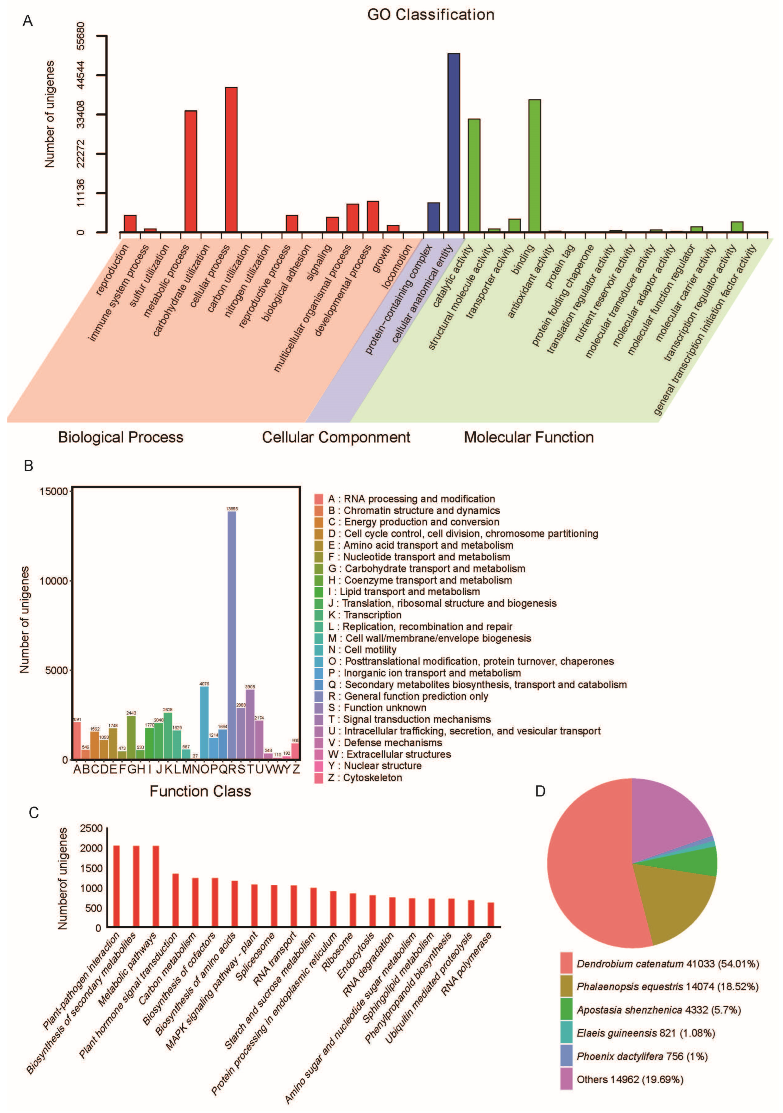 Plants 13 03262 g002