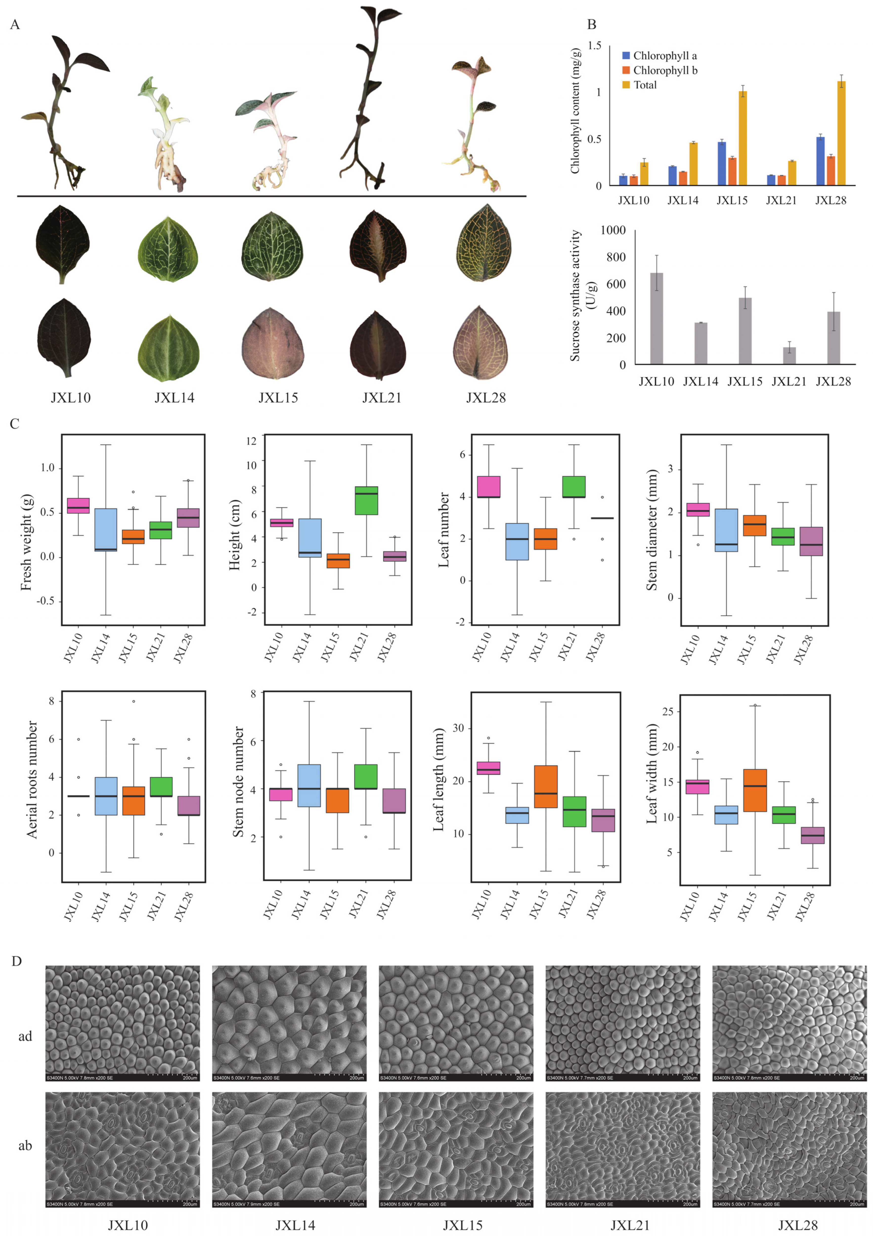 Plants 13 03262 g003