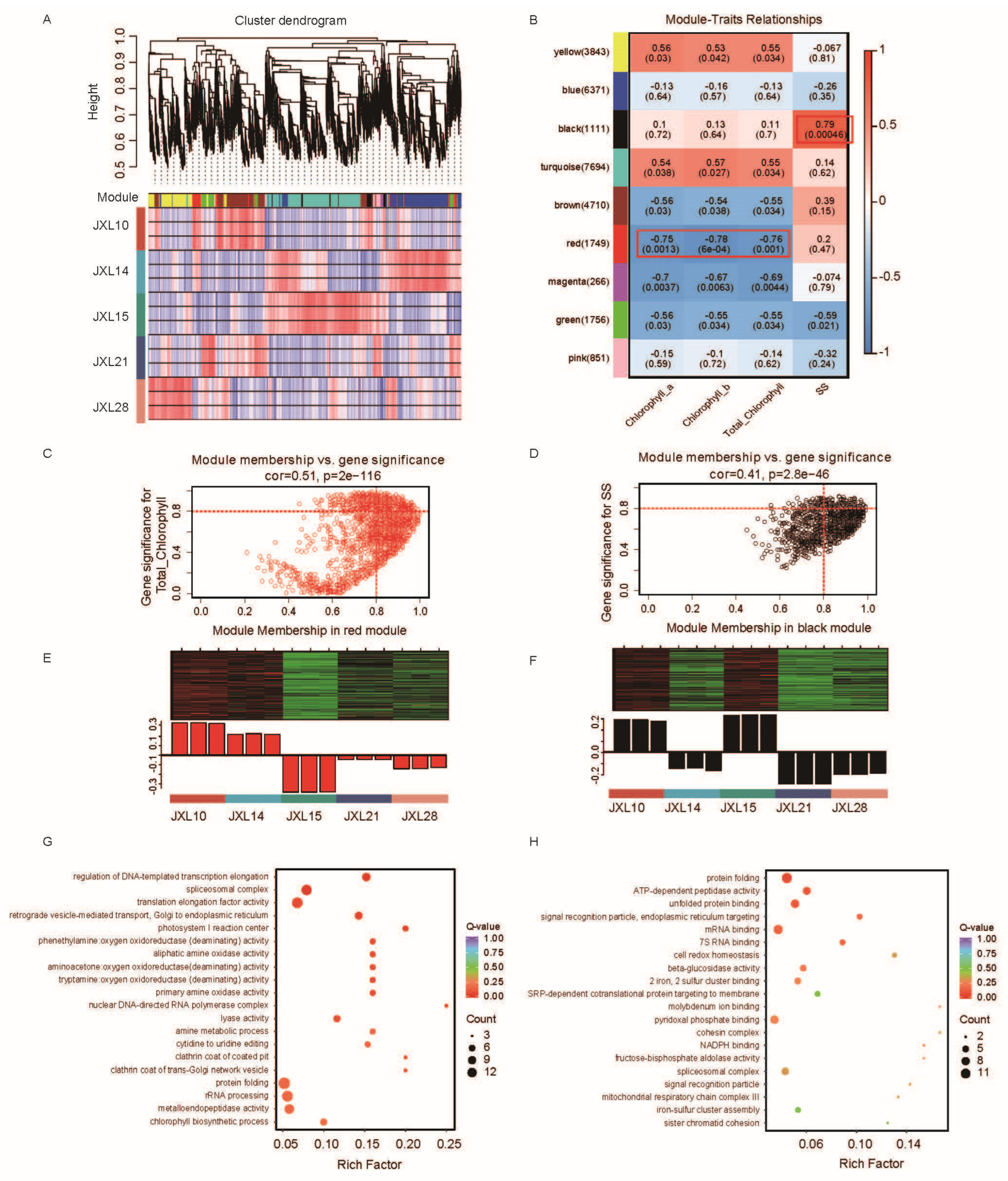 Plants 13 03262 g005