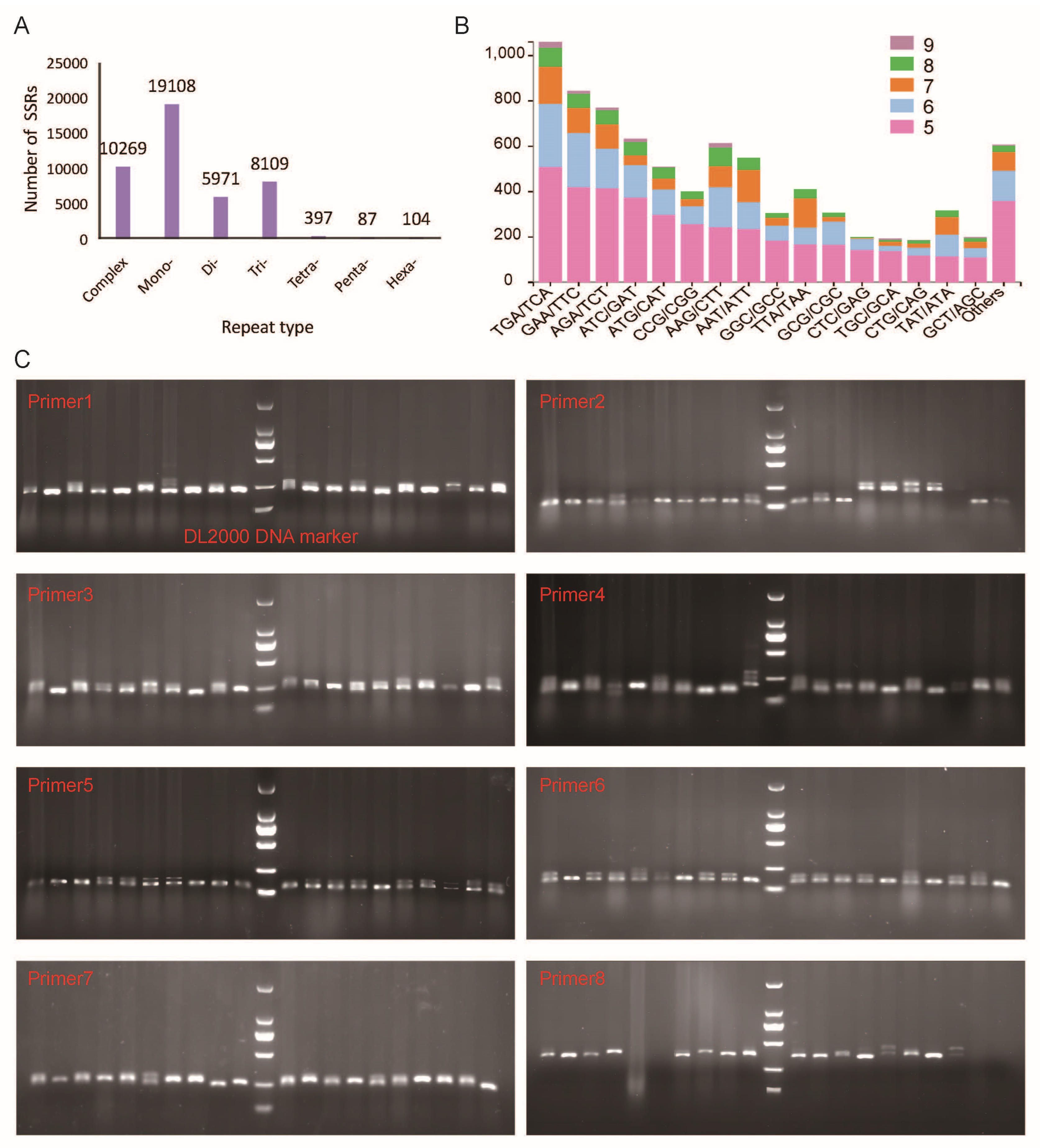 Plants 13 03262 g007