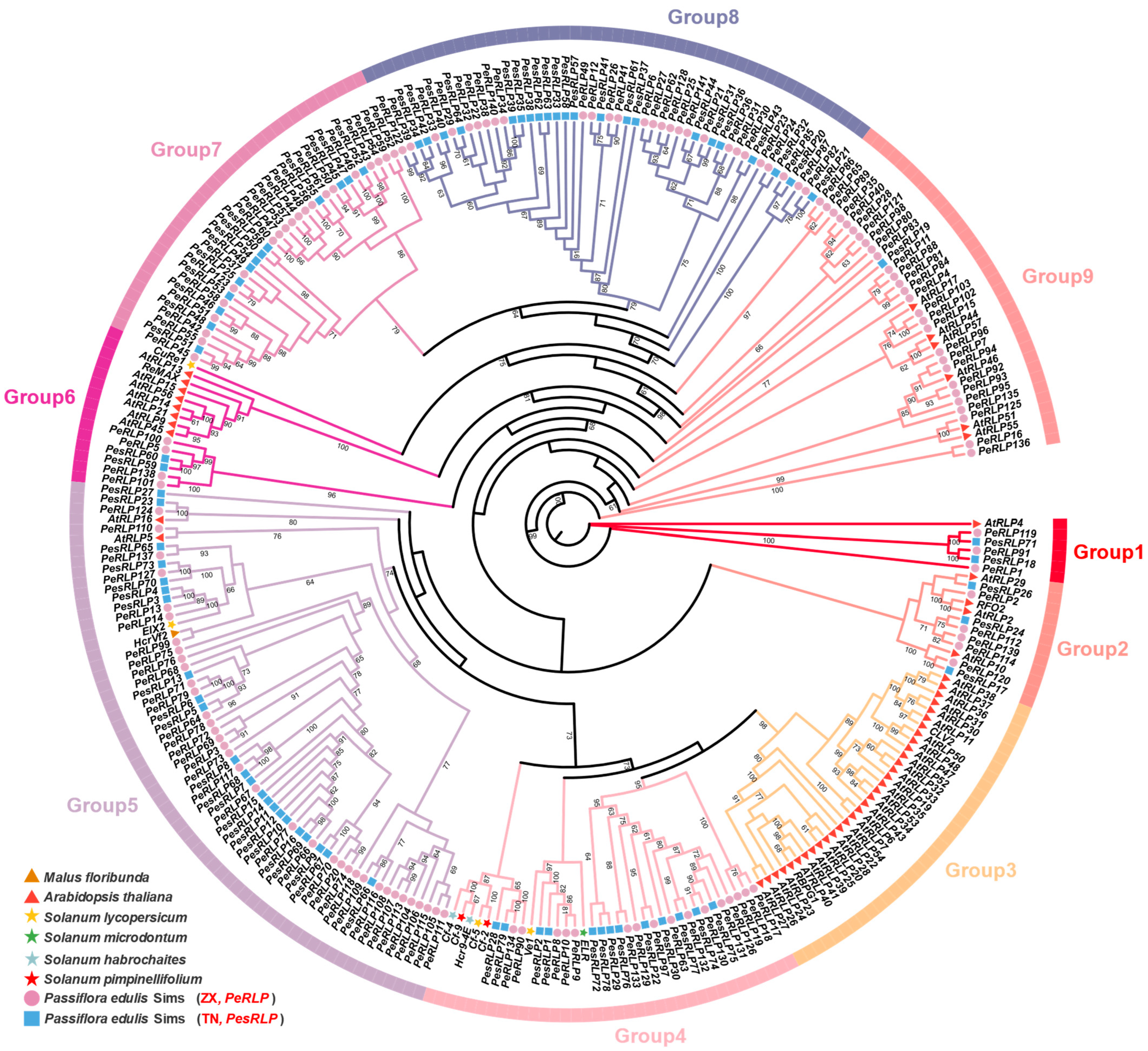 Plants 13 03264 g001