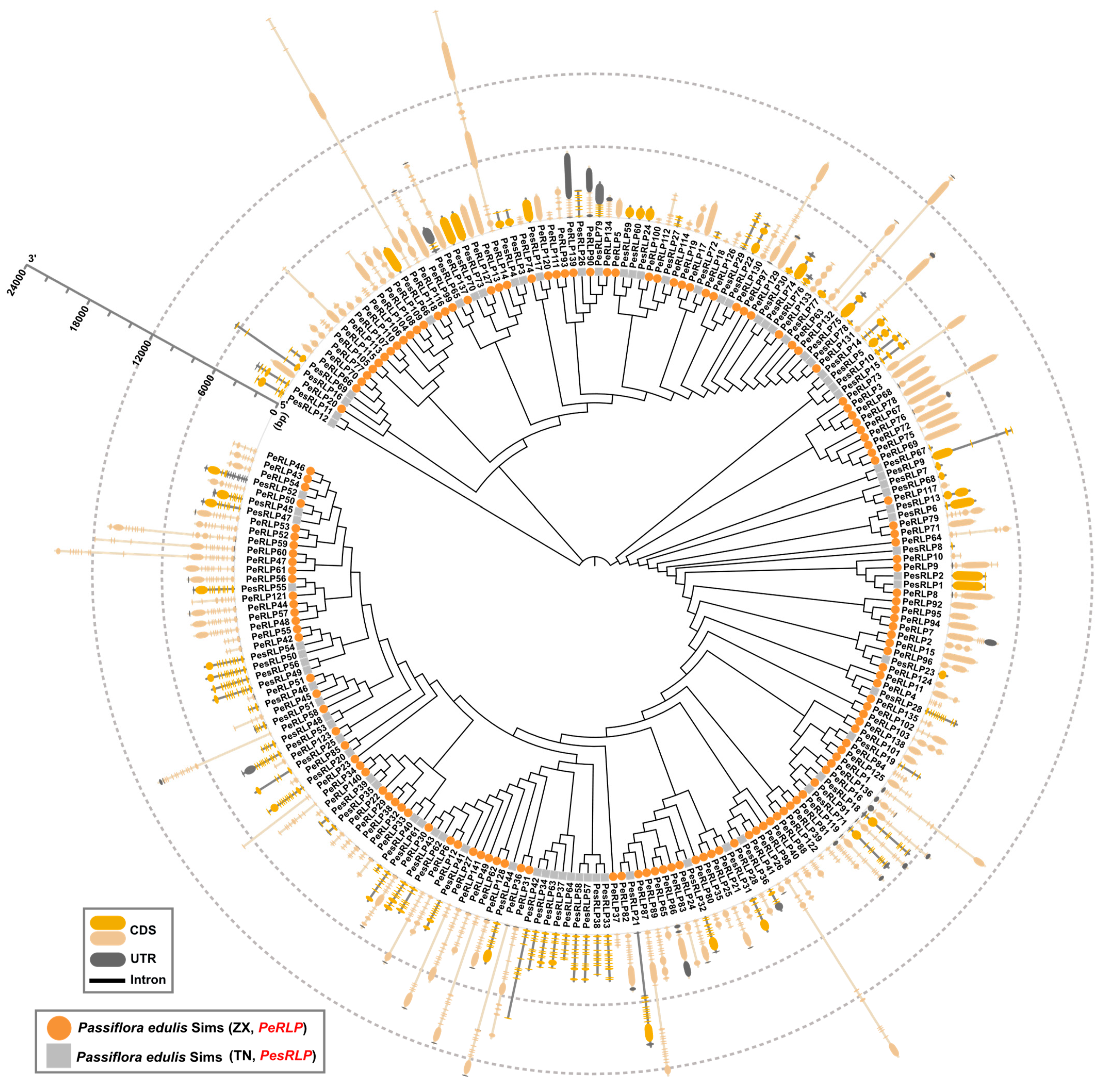 Plants 13 03264 g002