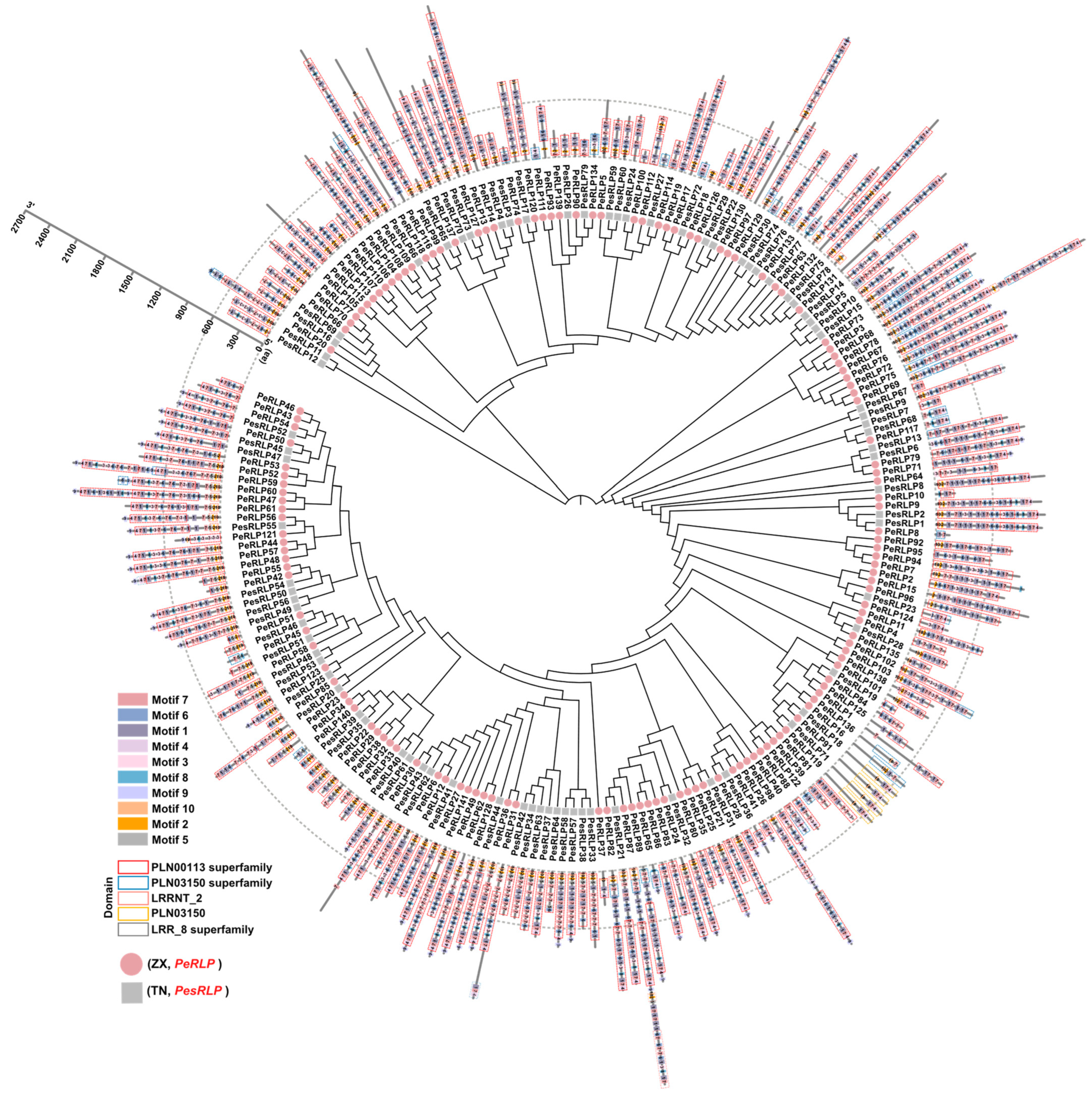 Plants 13 03264 g003