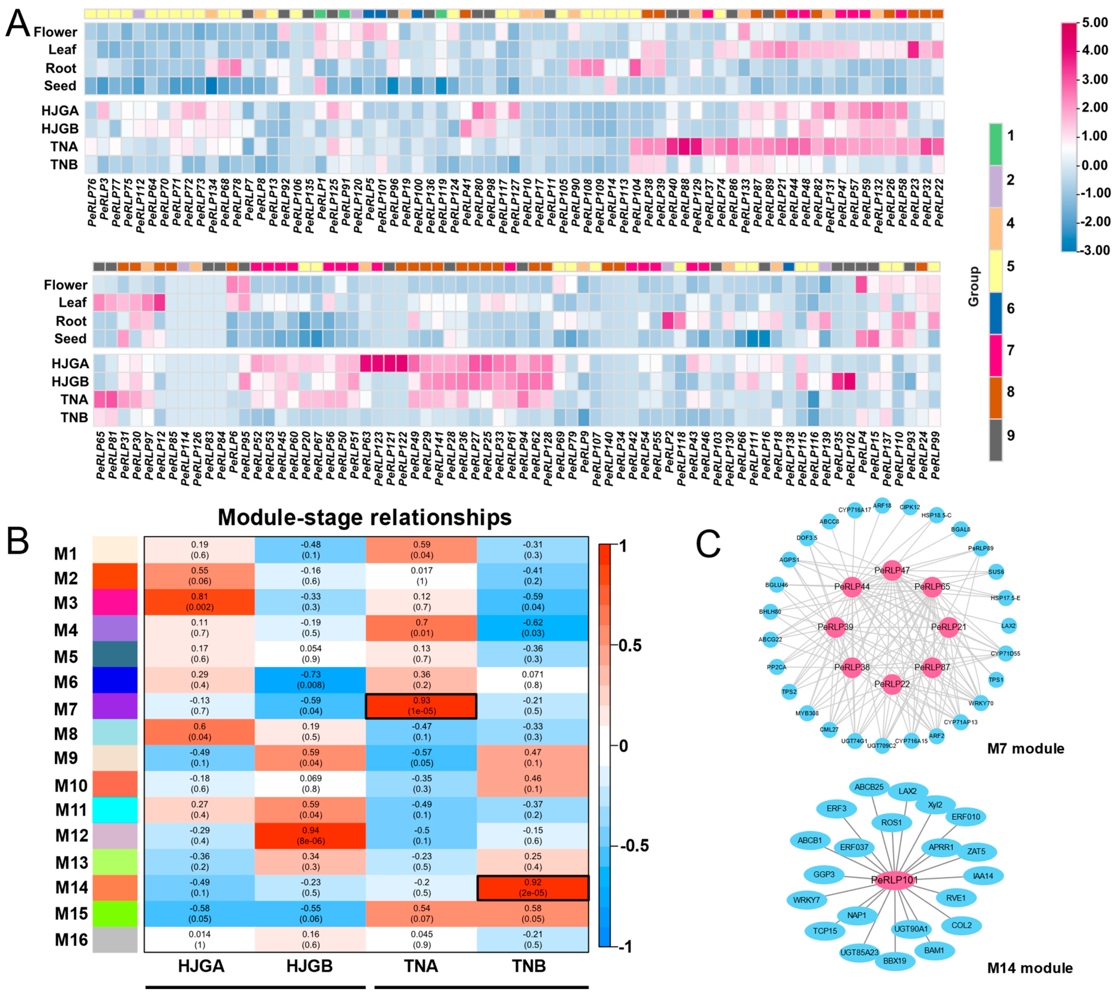 Plants 13 03264 g005