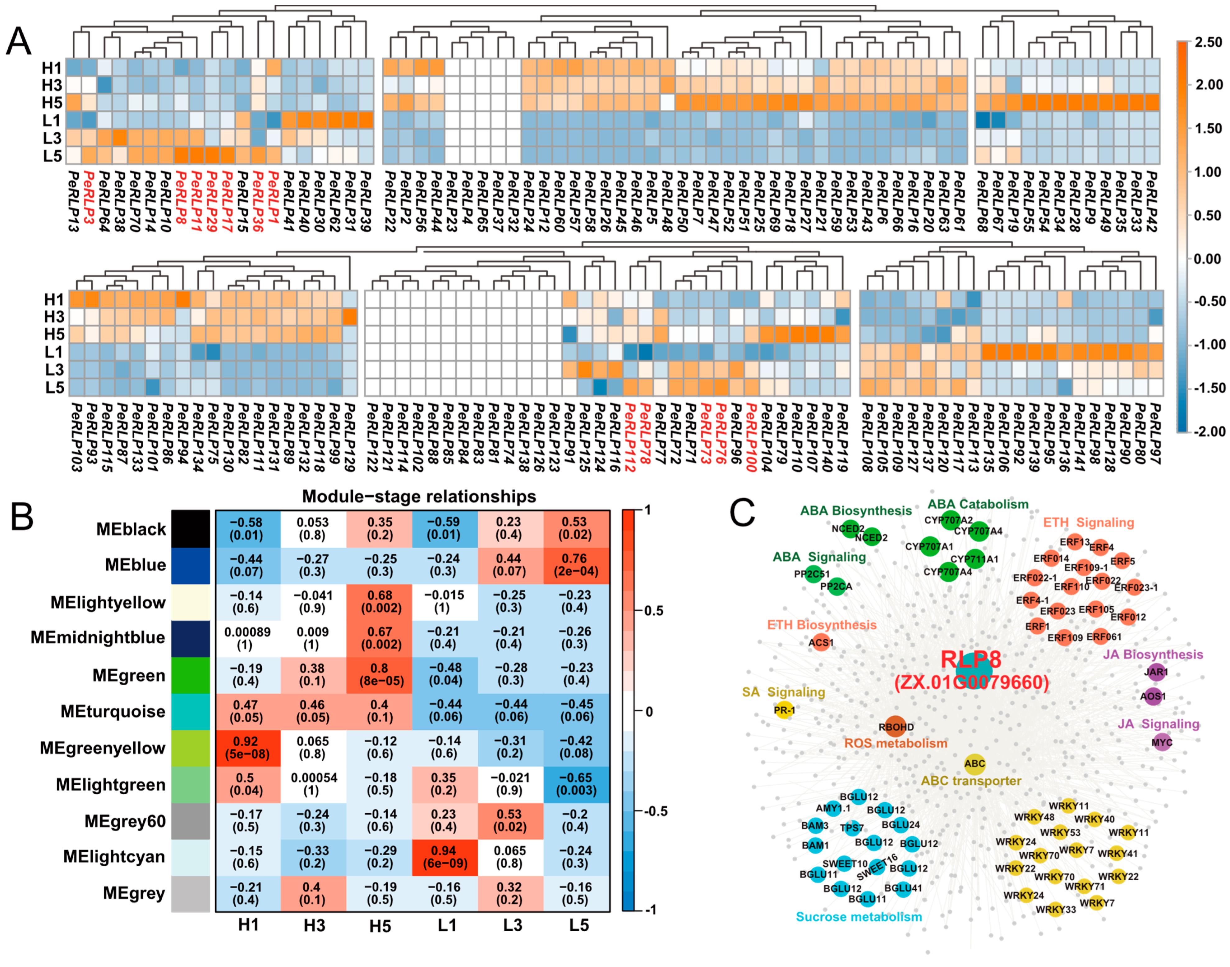 Plants 13 03264 g006