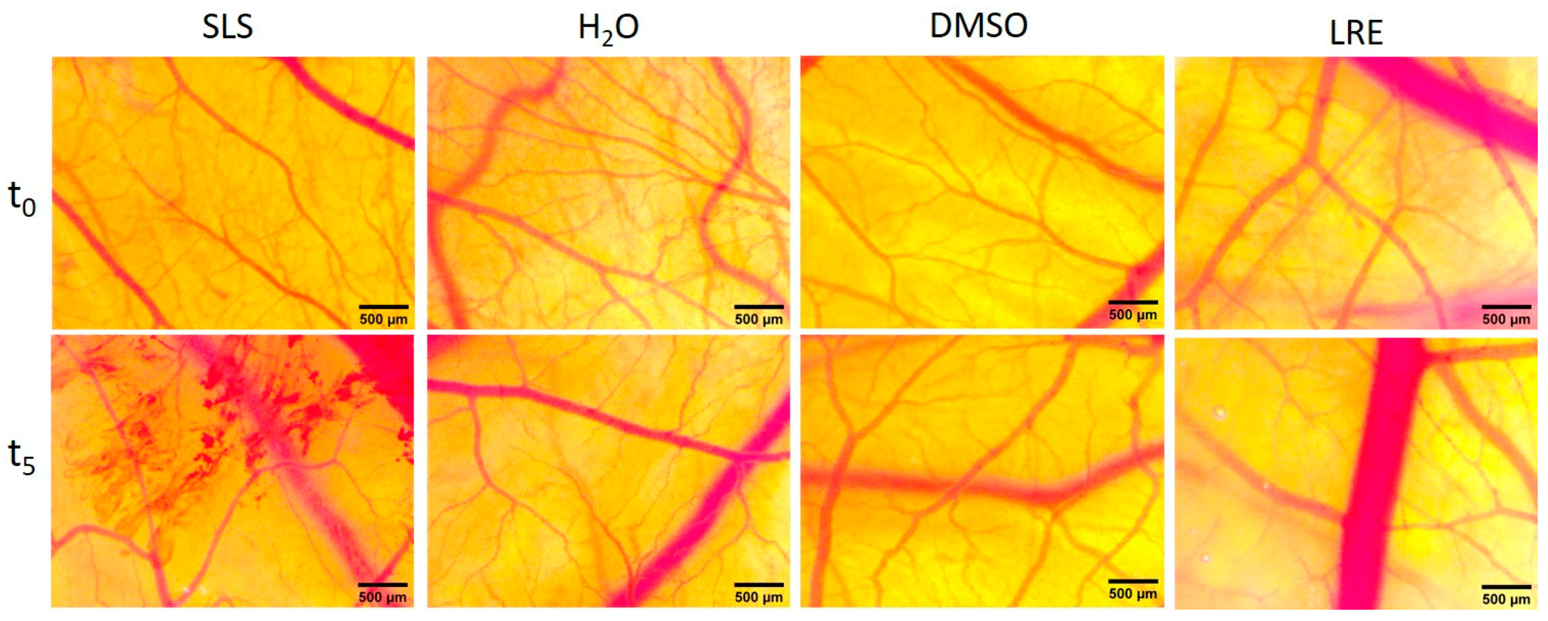 Plants 13 03265 g004