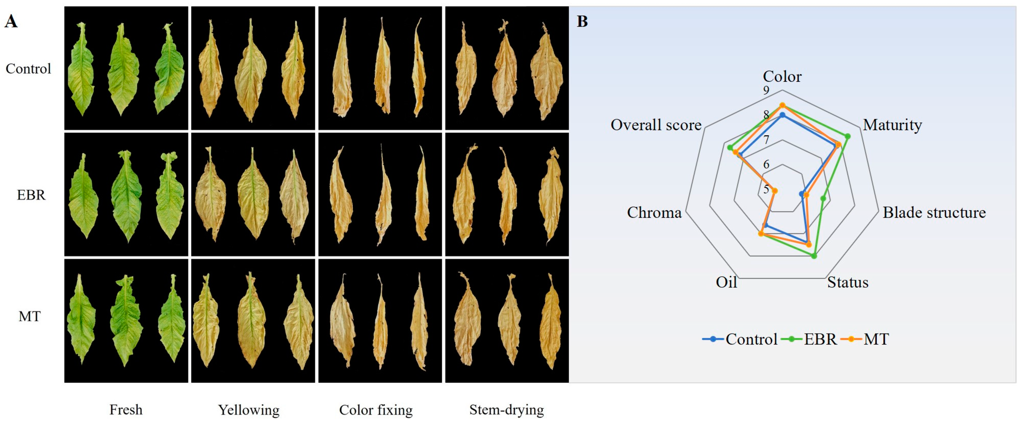 Plants 13 03266 g001