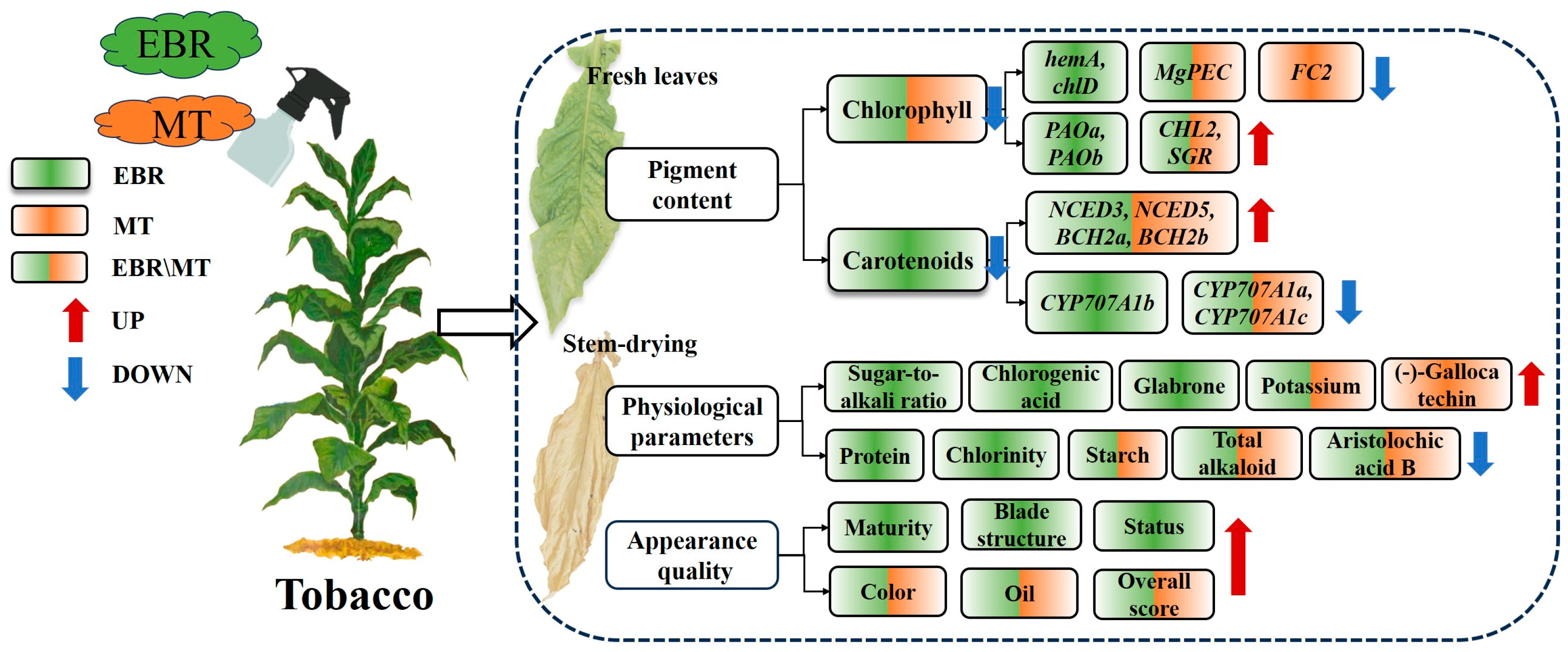 Plants 13 03266 g009
