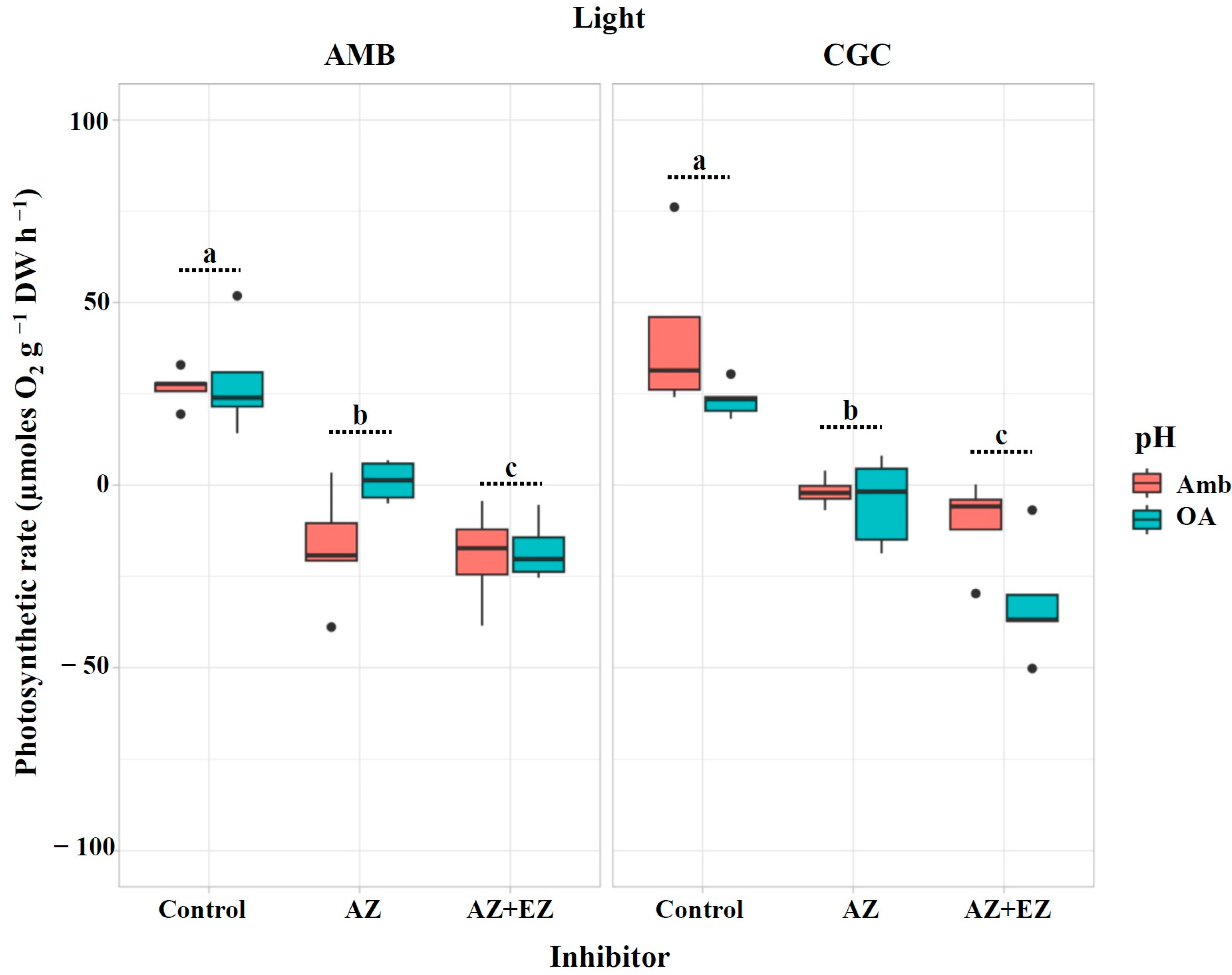 Plants 13 03267 g001