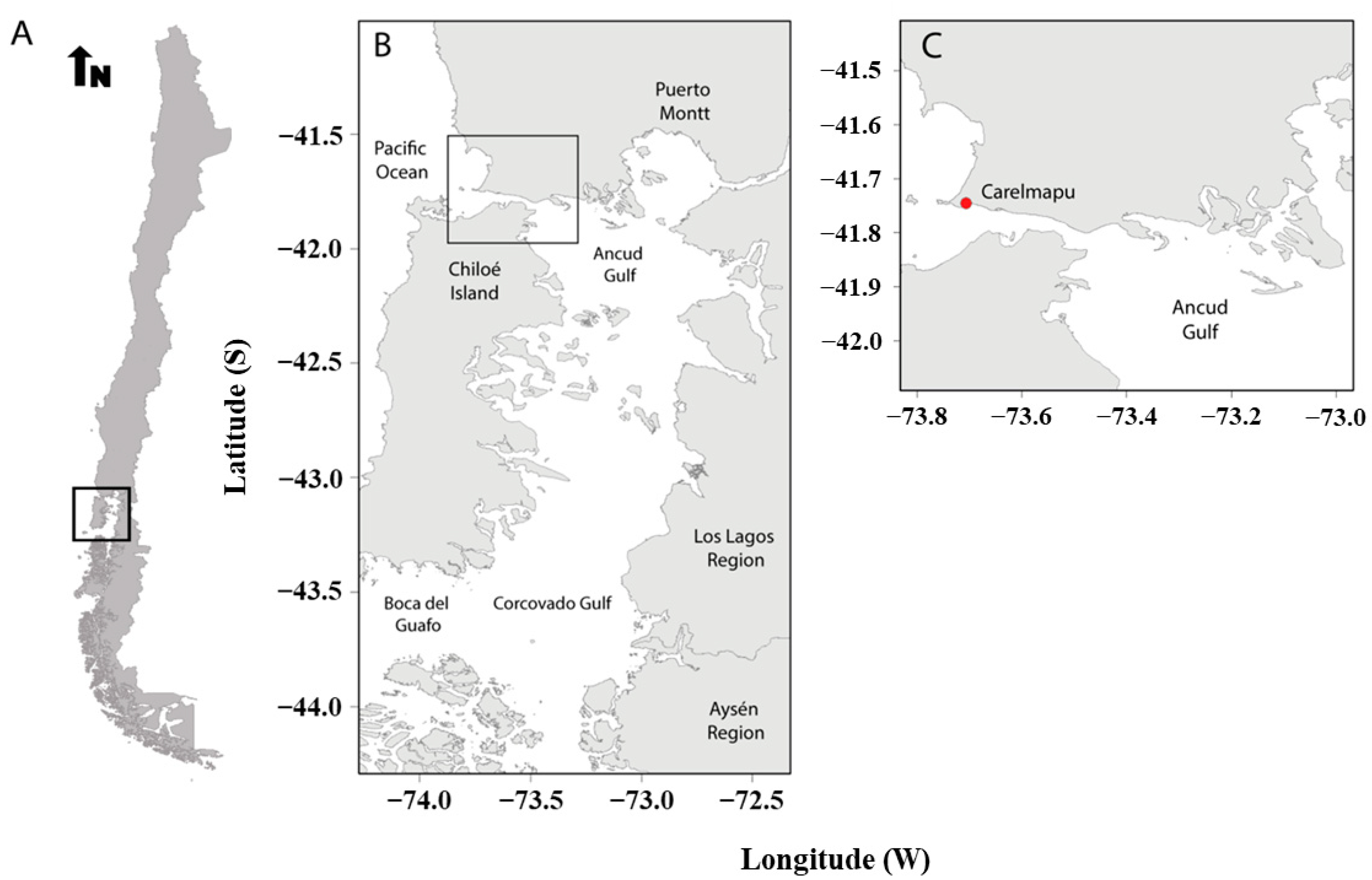 Plants 13 03267 g007