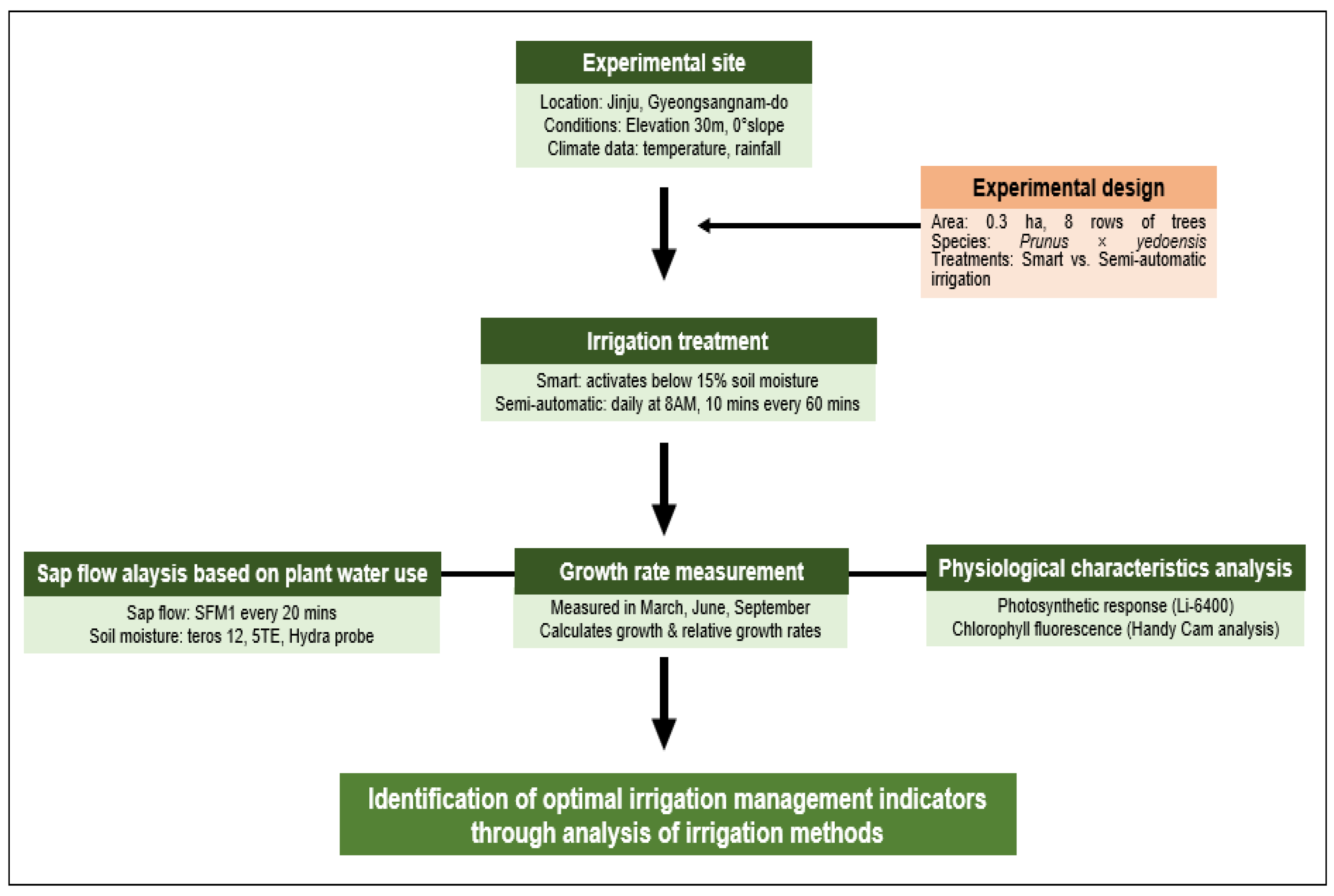 Plants 13 03270 g001