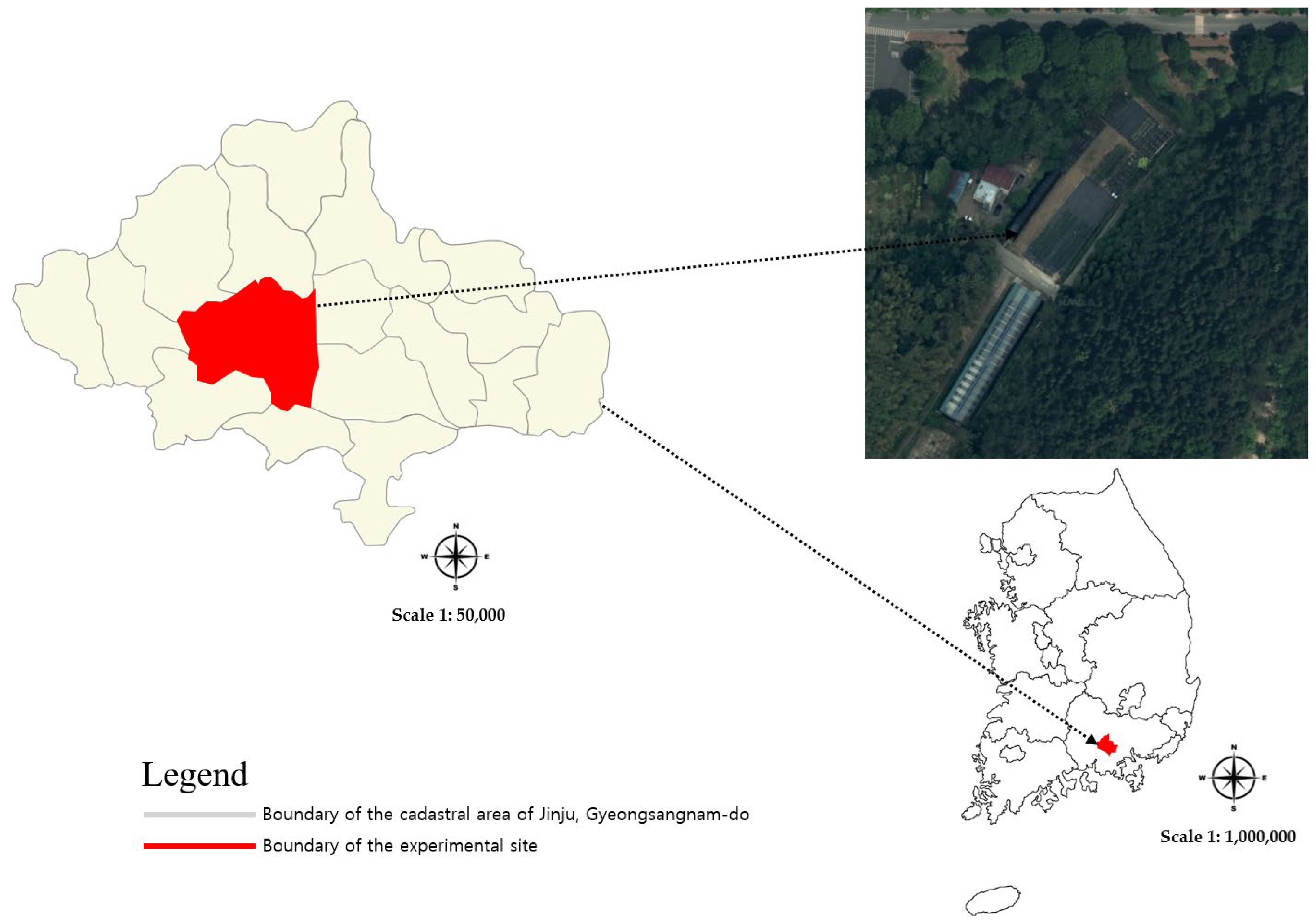 Plants 13 03270 g002