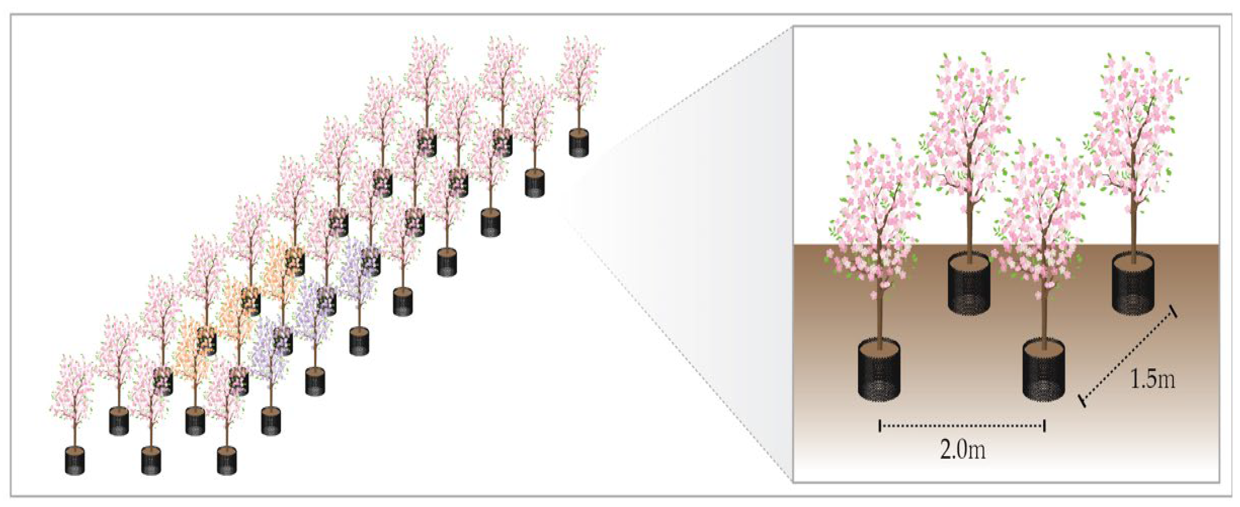 Plants 13 03270 g003