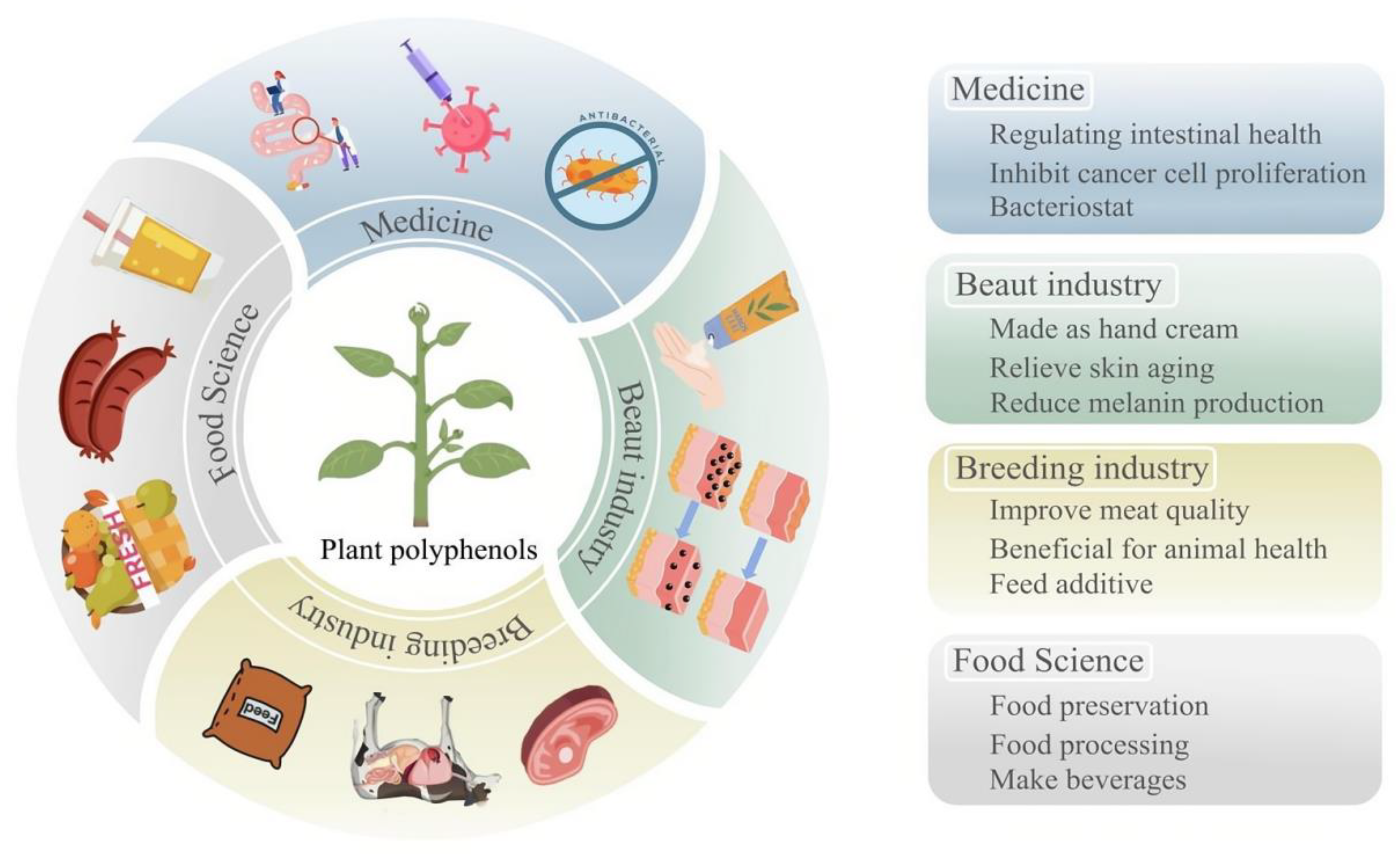Plants 13 03271 g001