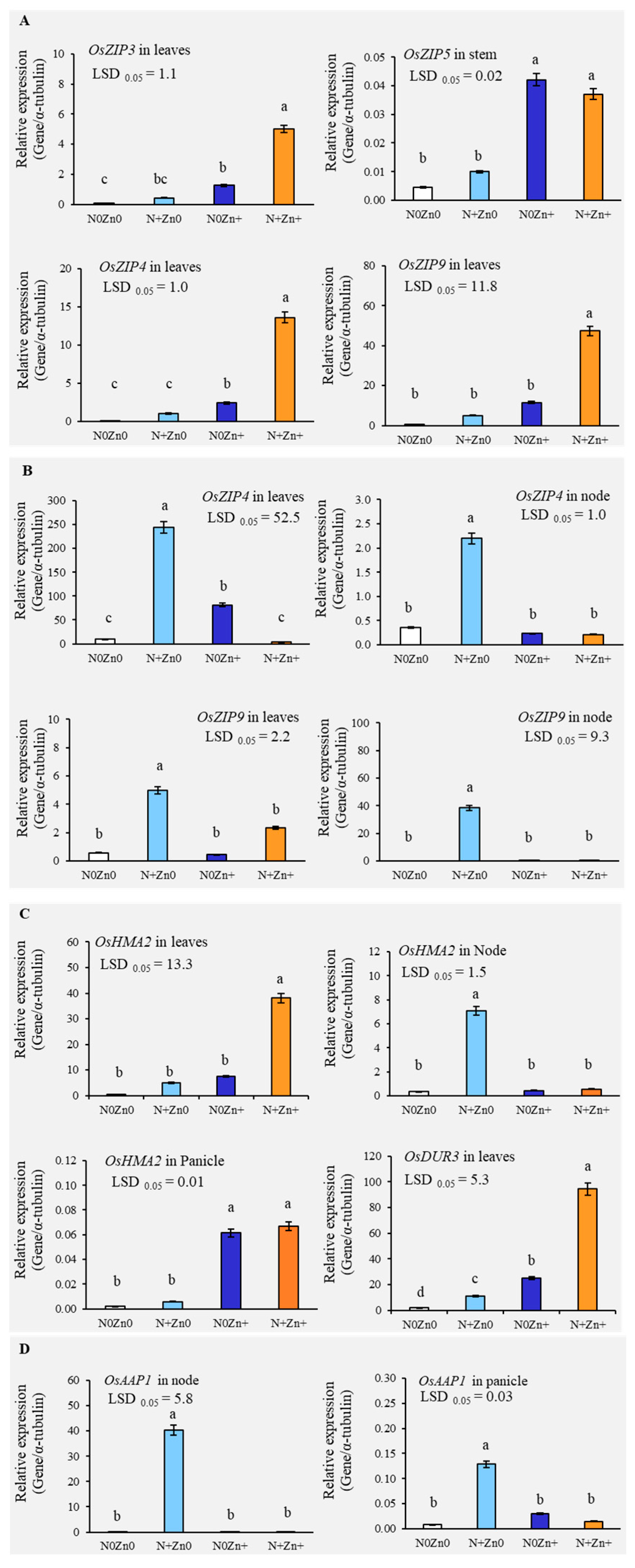 Plants 13 03274 g003