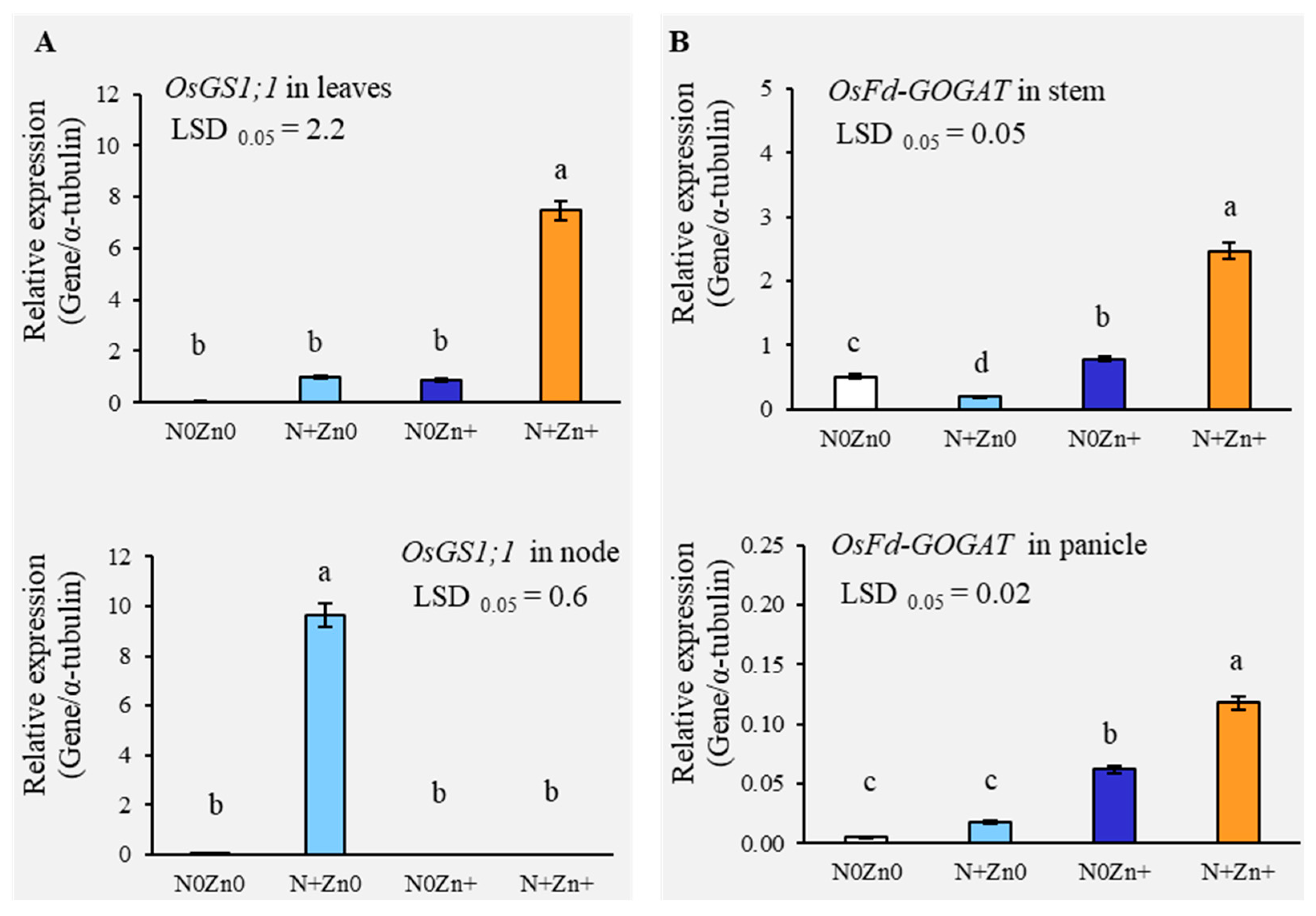Plants 13 03274 g004