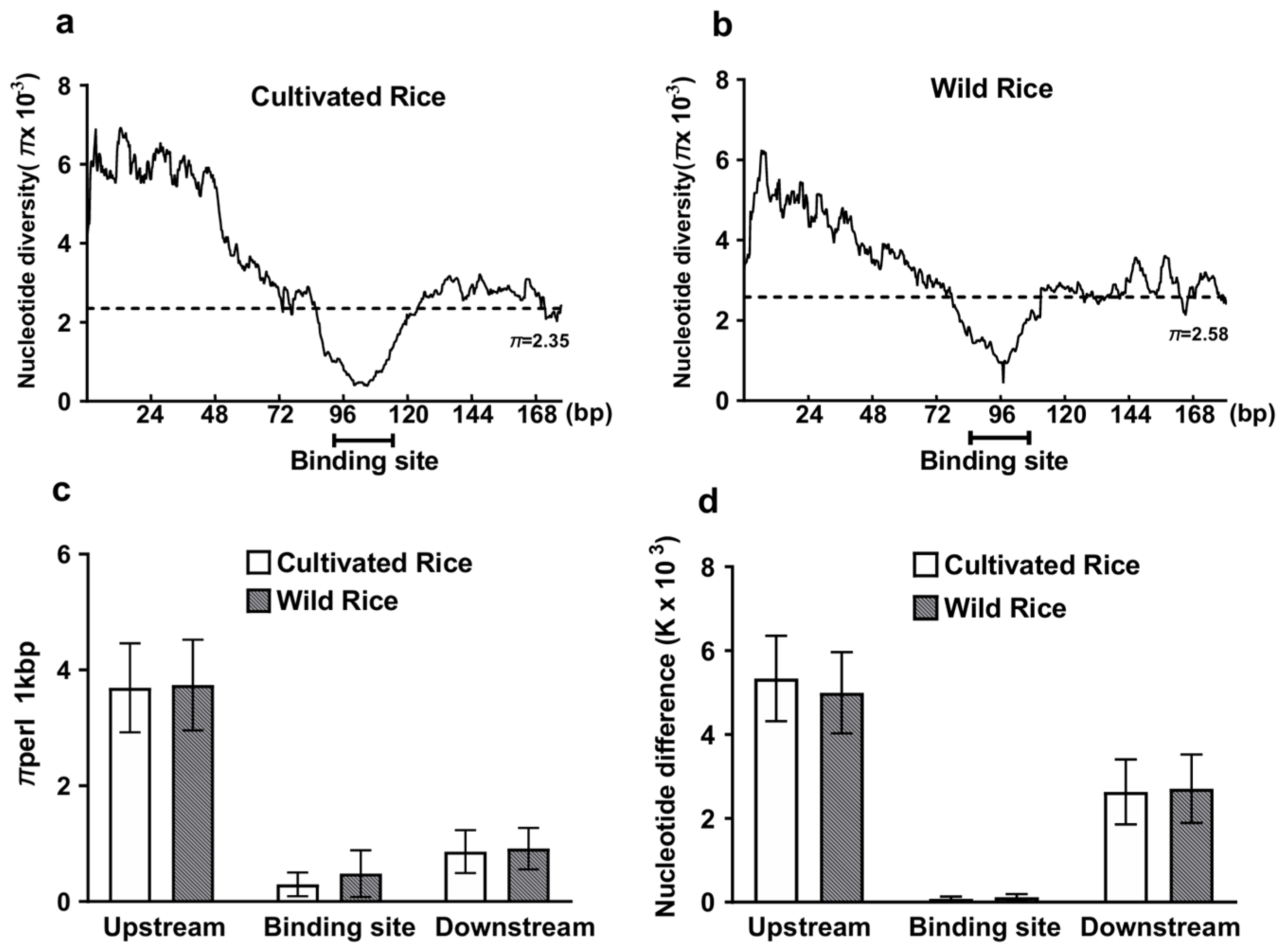 Plants 13 03281 g001