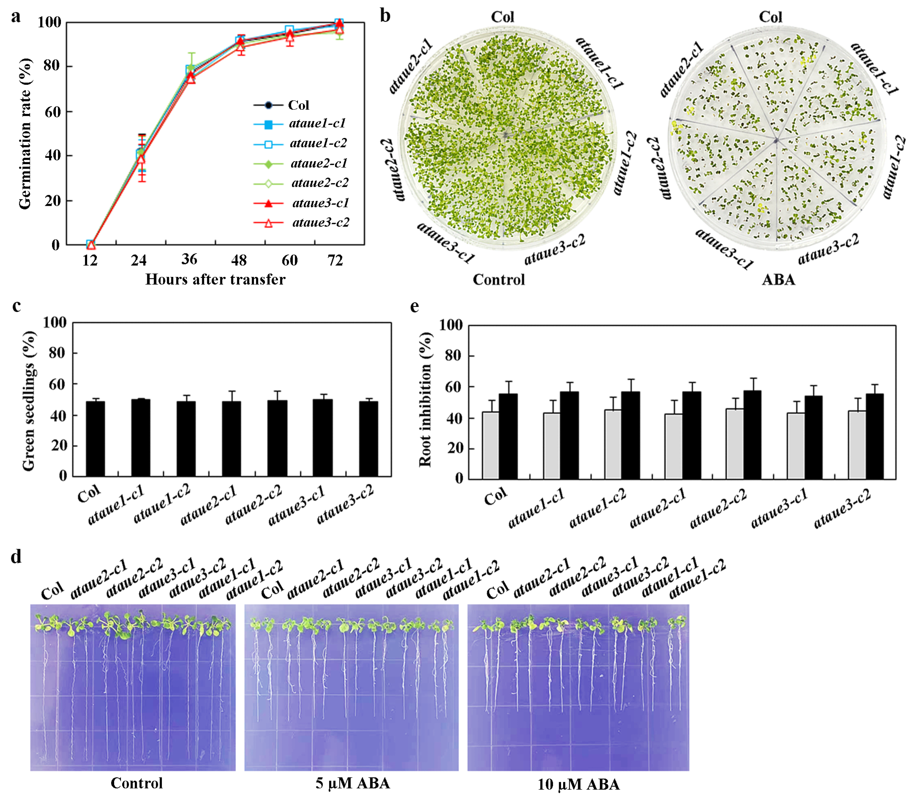 Plants 13 03282 g005