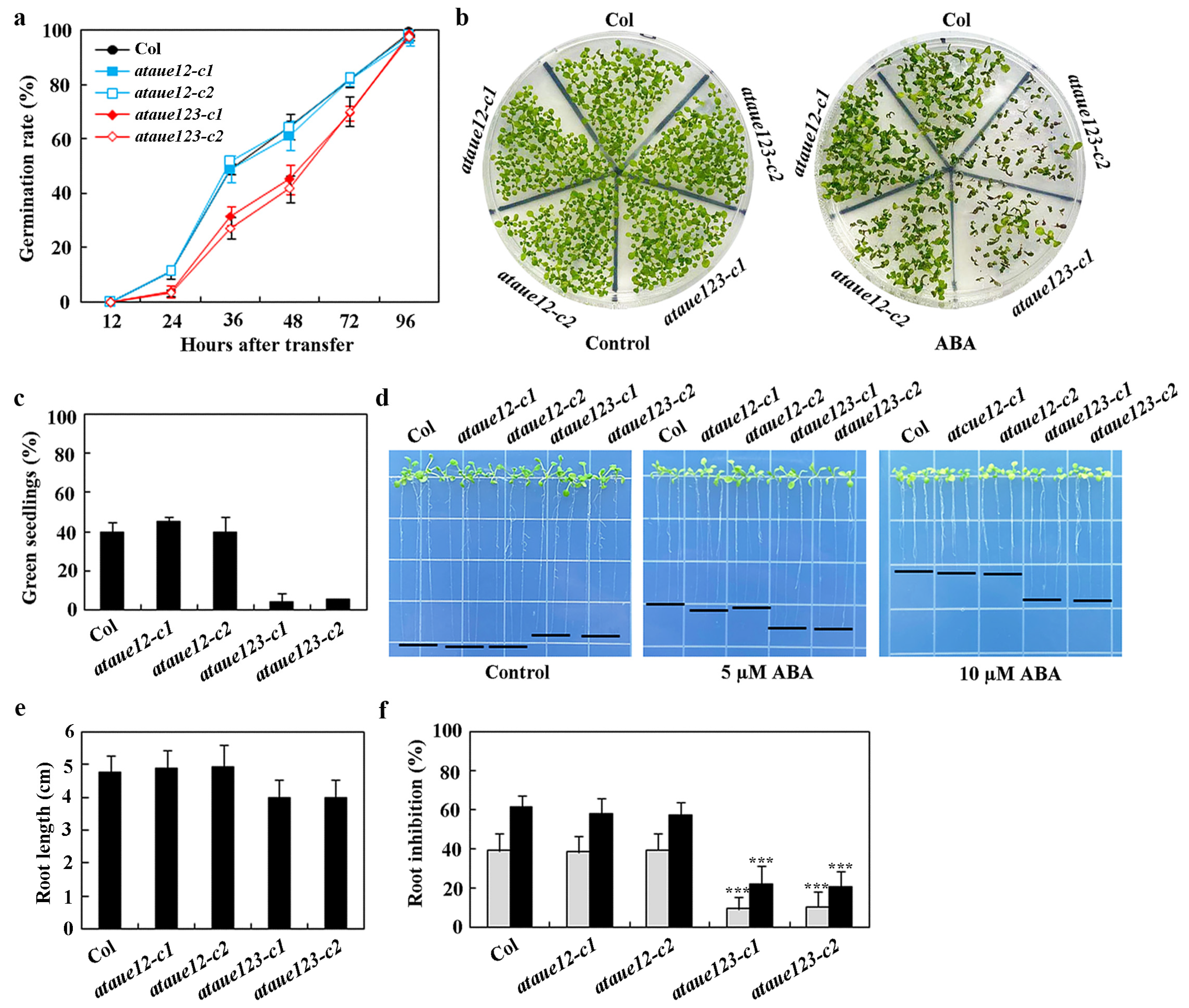 Plants 13 03282 g006