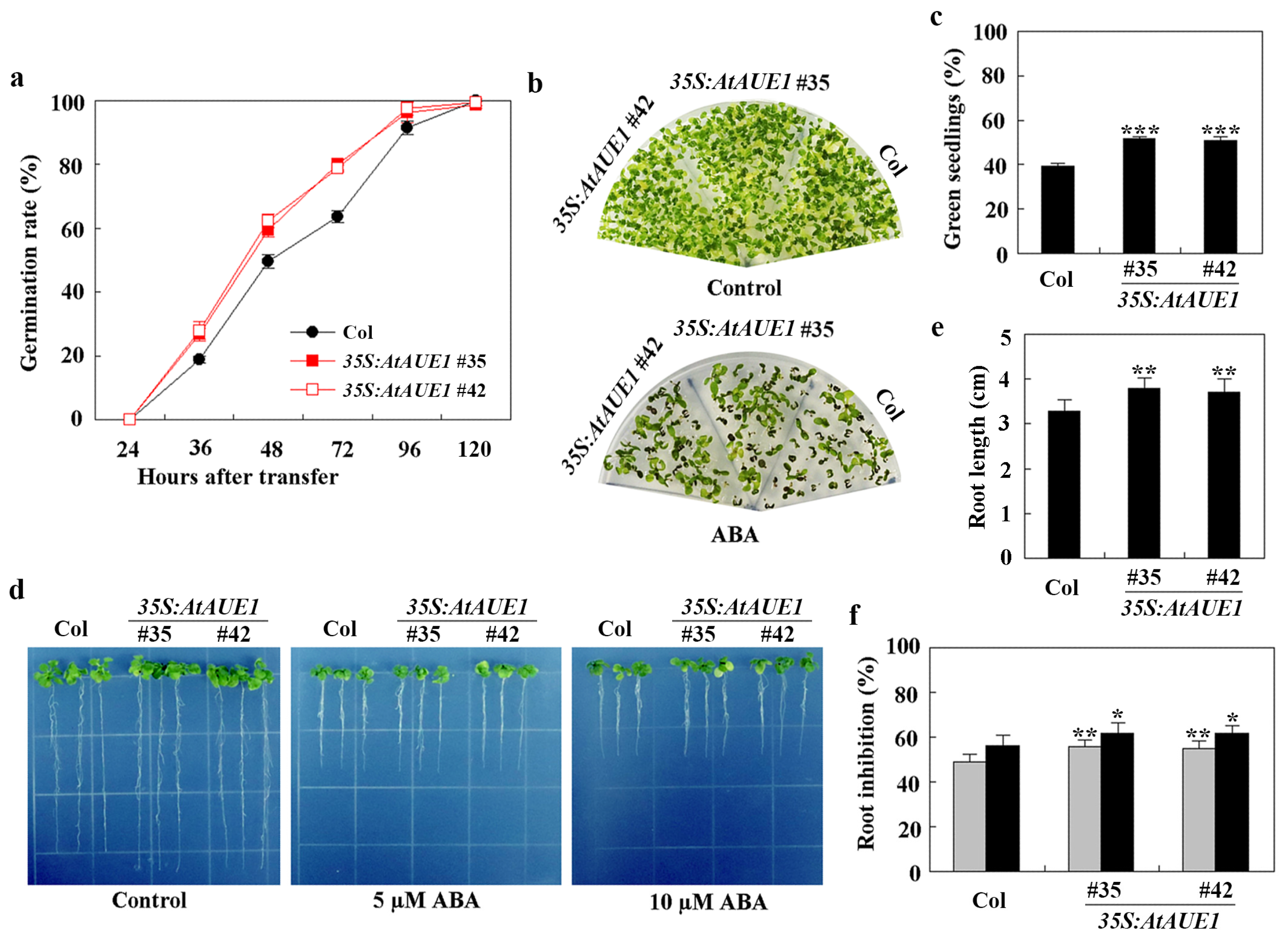 Plants 13 03282 g007