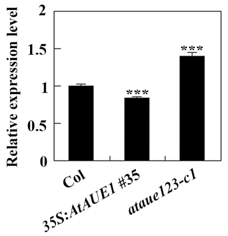 Plants 13 03282 g008