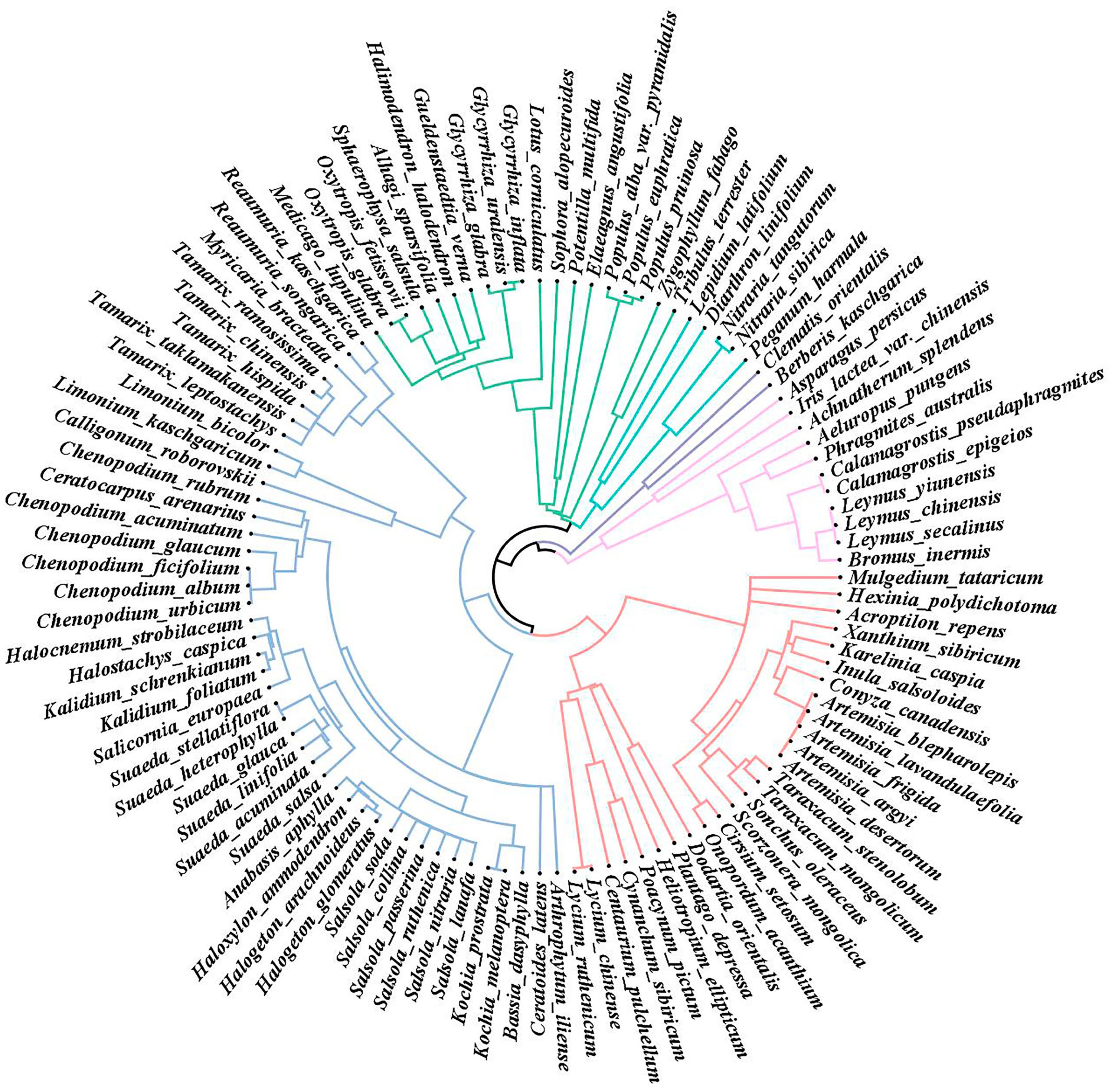 Plants 13 03283 g001