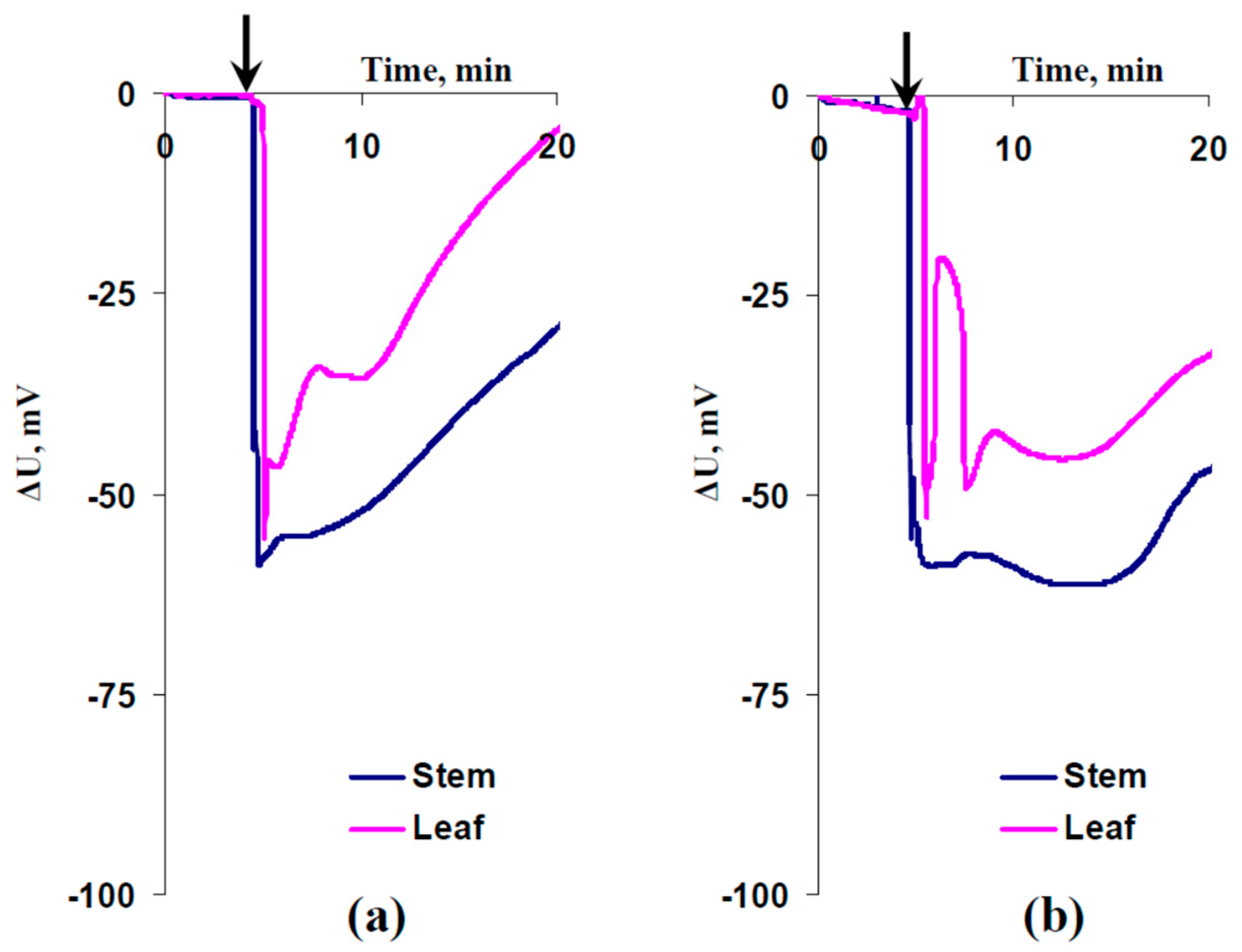Plants 13 03292 g003