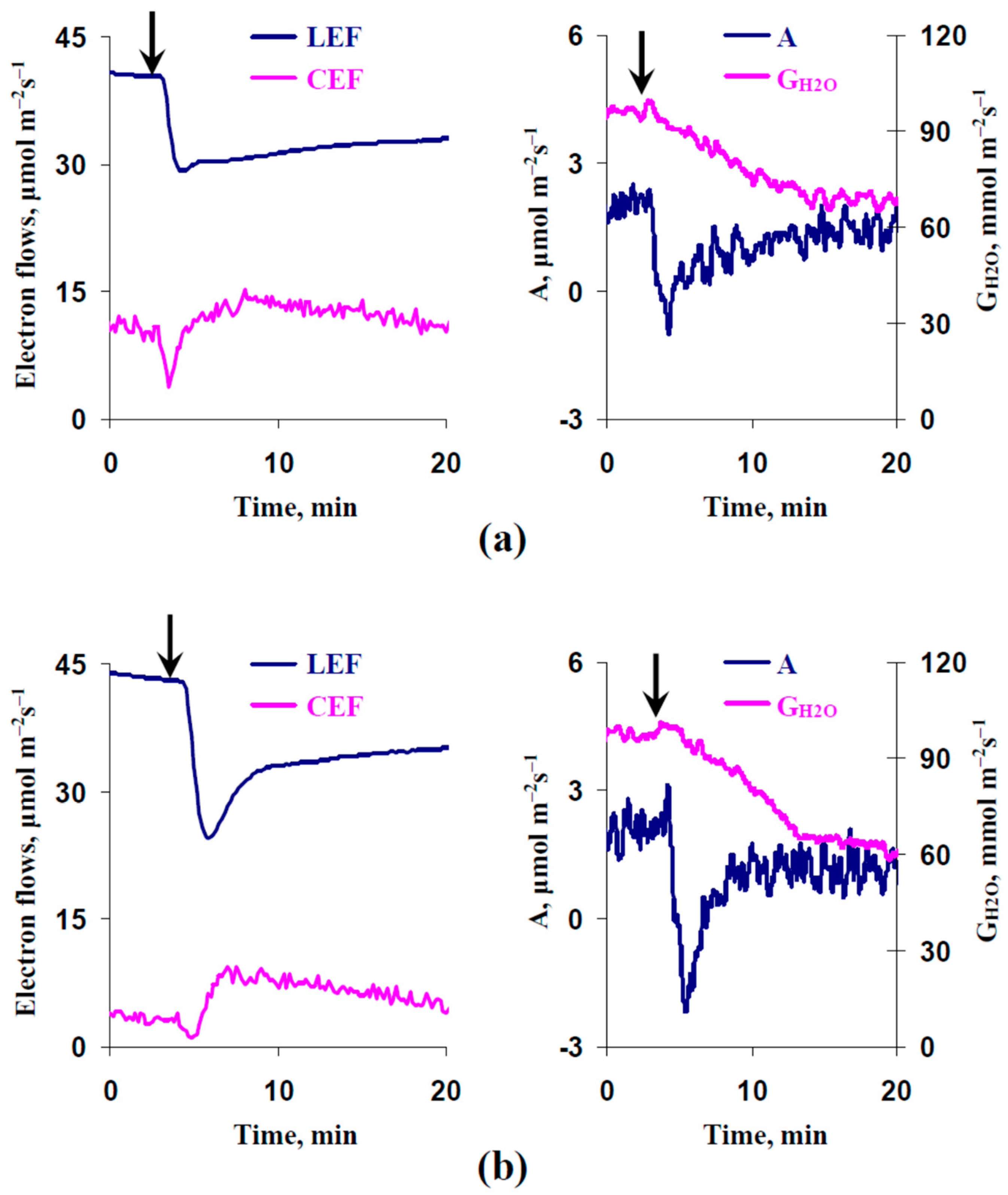 Plants 13 03292 g005