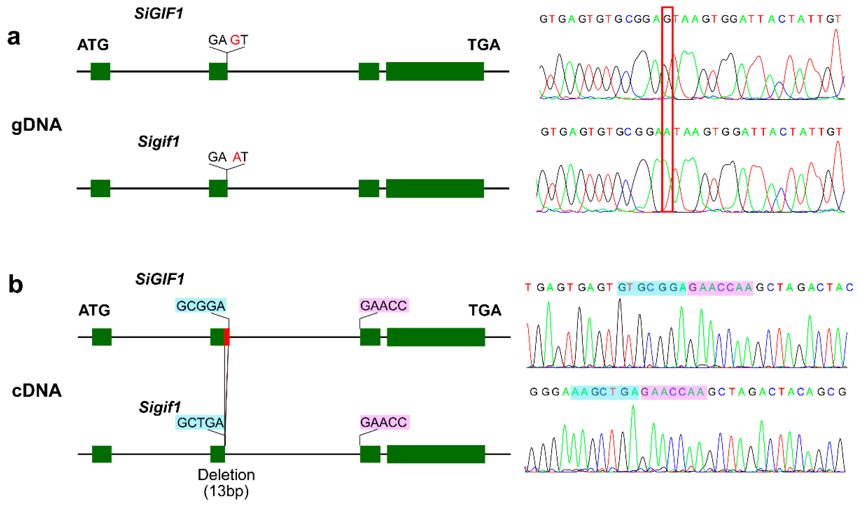Plants 13 03294 g005