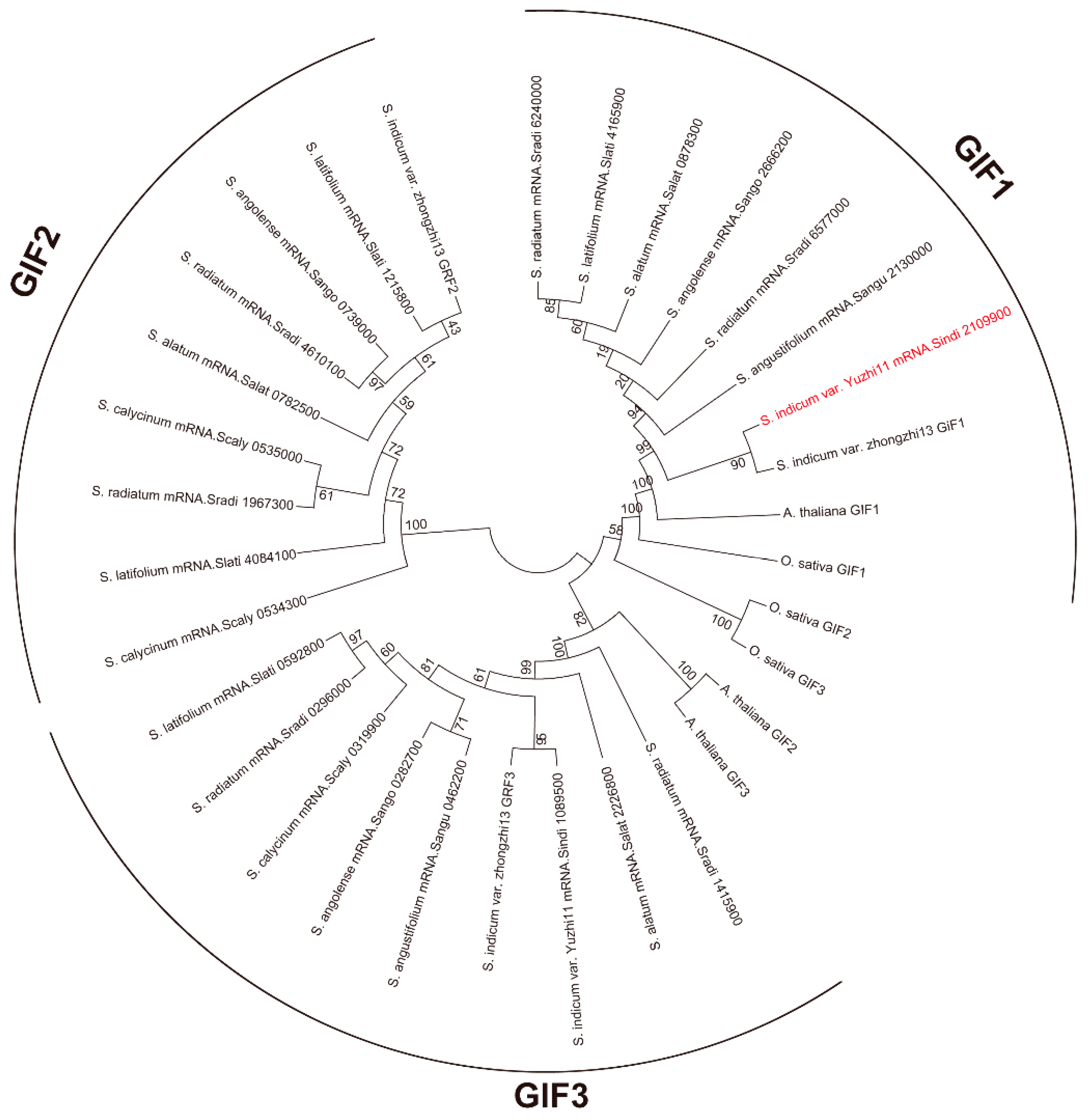 Plants 13 03294 g008