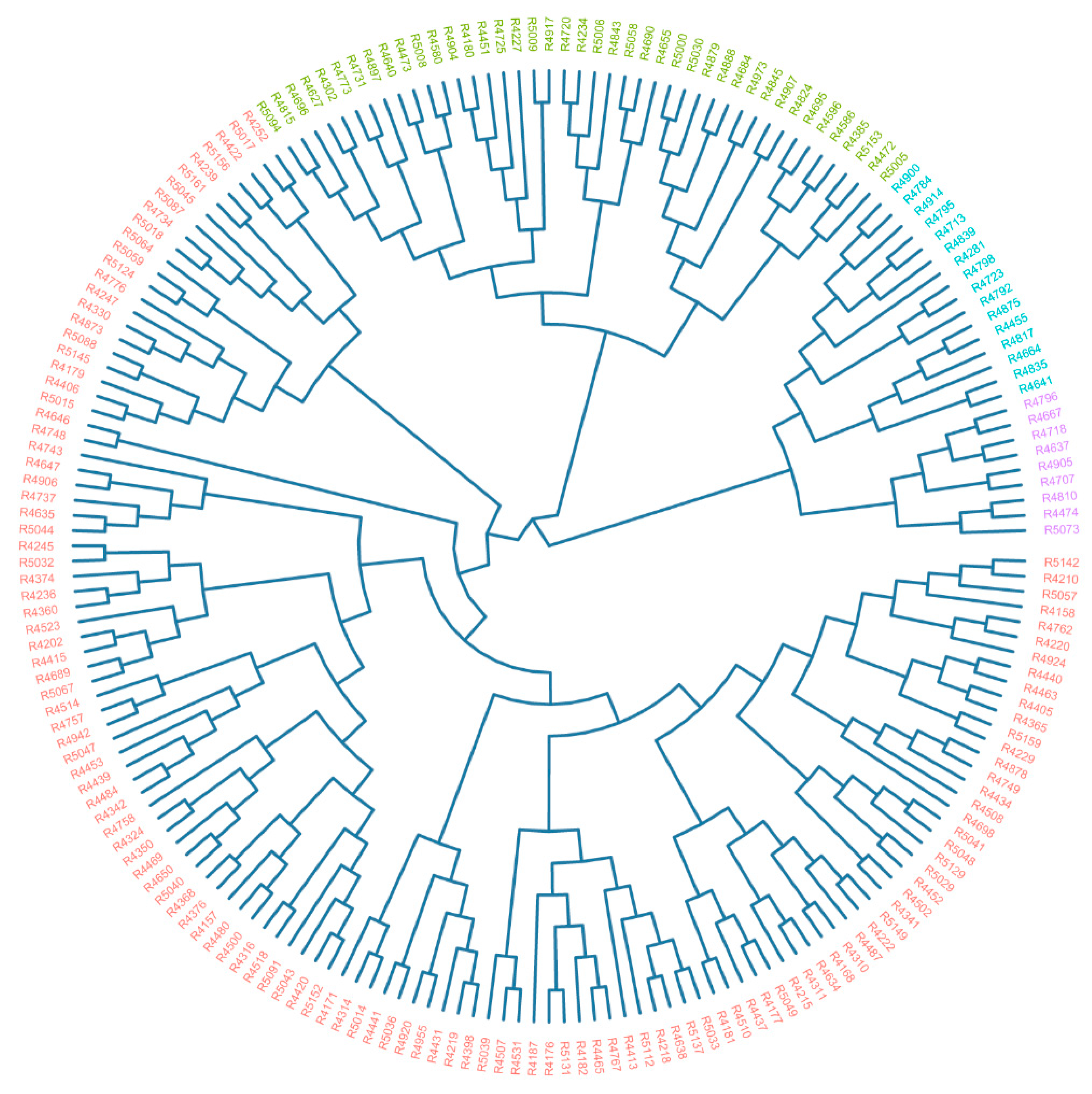 Plants 13 03296 g001