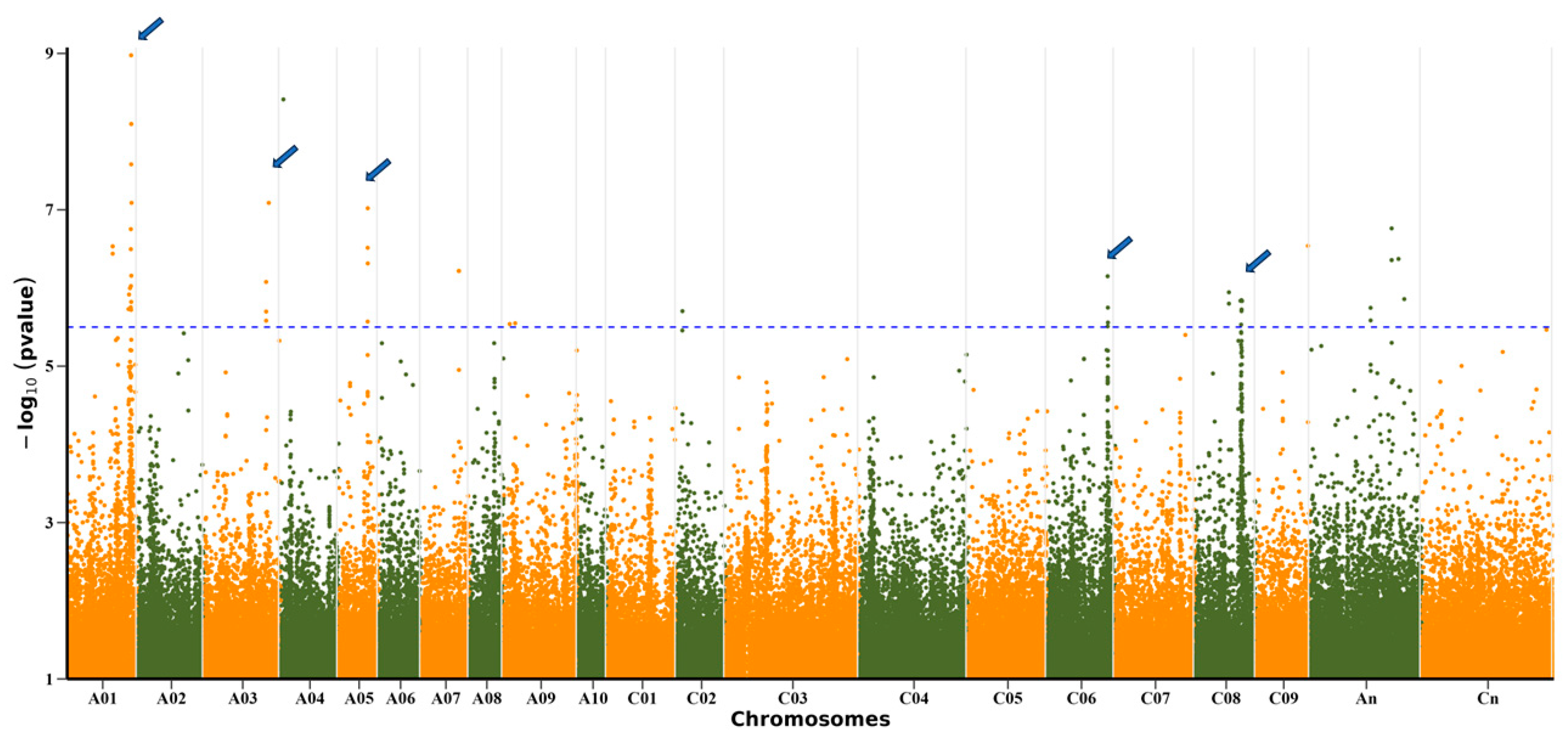 Plants 13 03296 g002