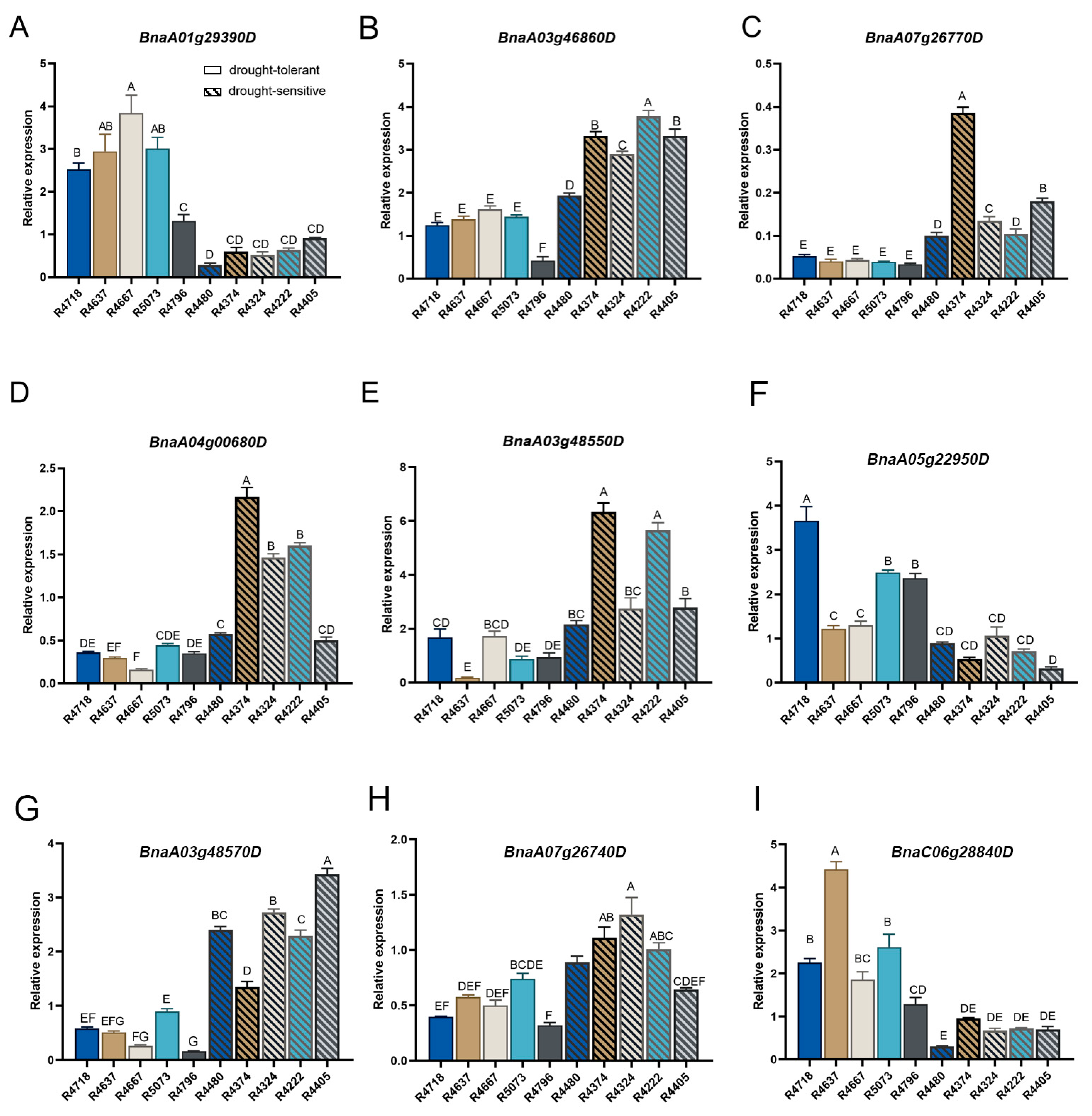 Plants 13 03296 g004