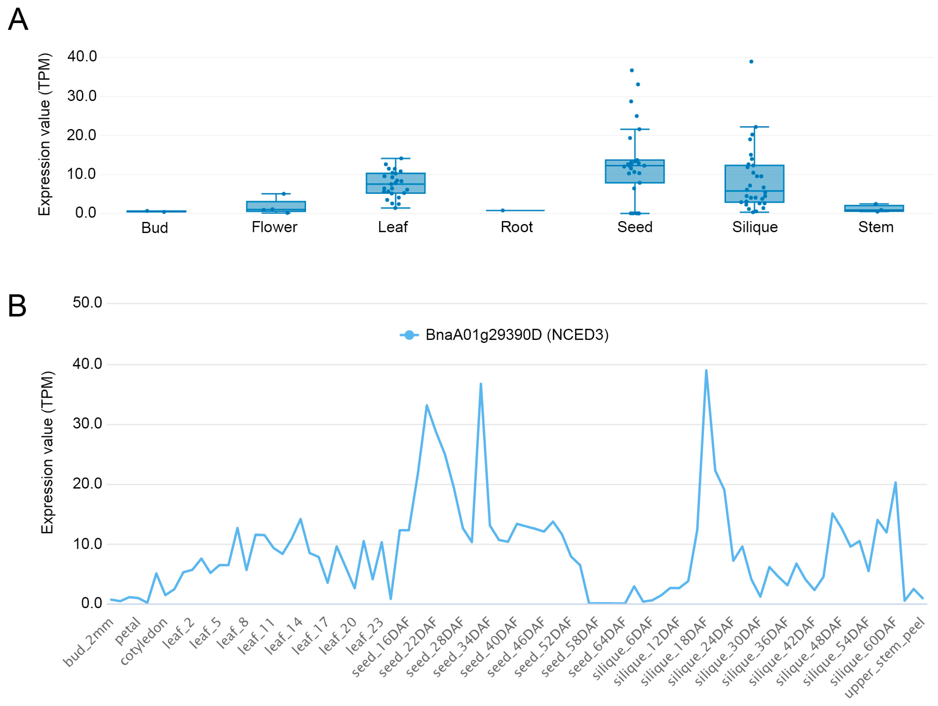 Plants 13 03296 g005