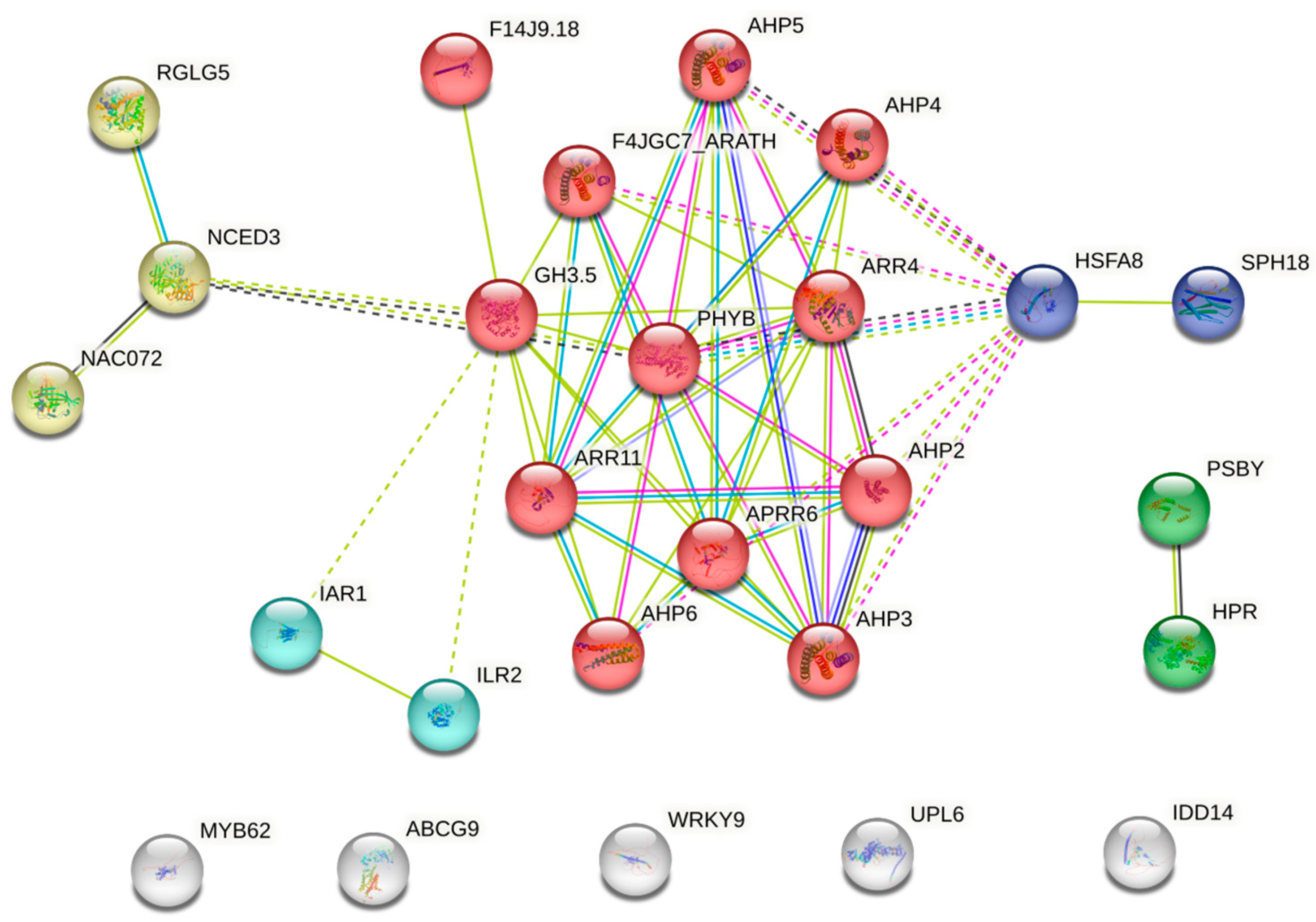 Plants 13 03296 g006