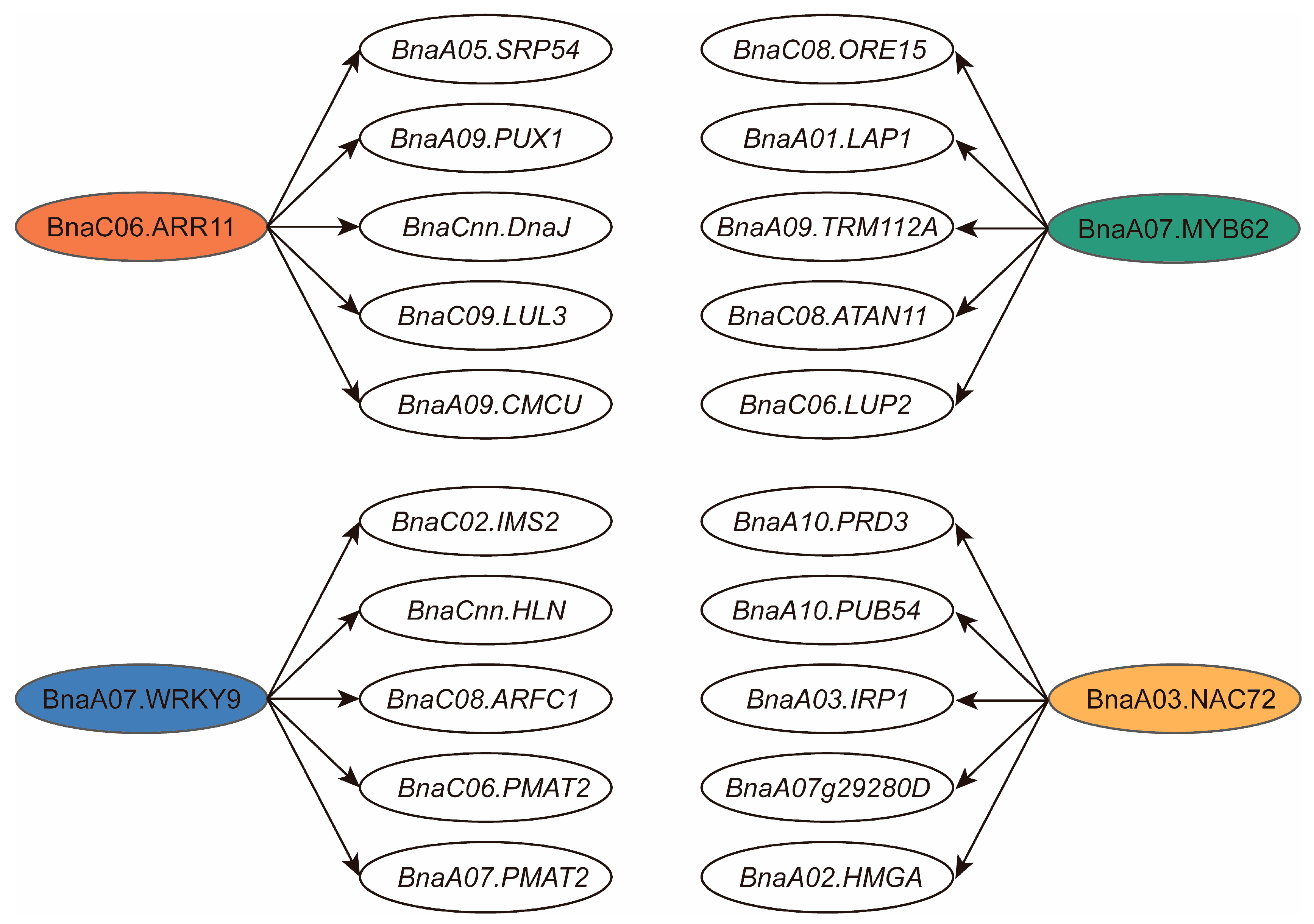 Plants 13 03296 g007